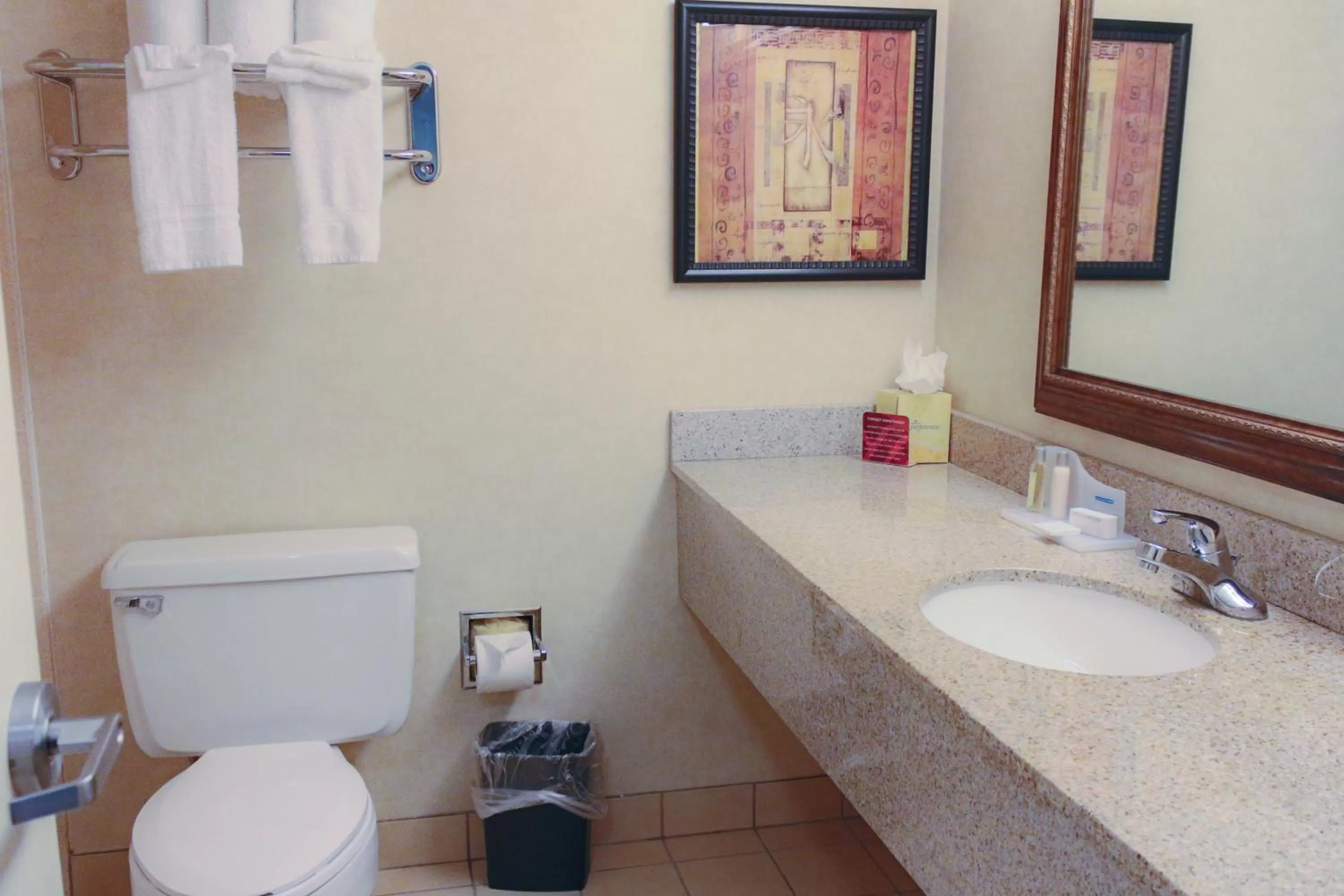 Bathroom in Ramada Plaza by Wyndham Atlanta Airport