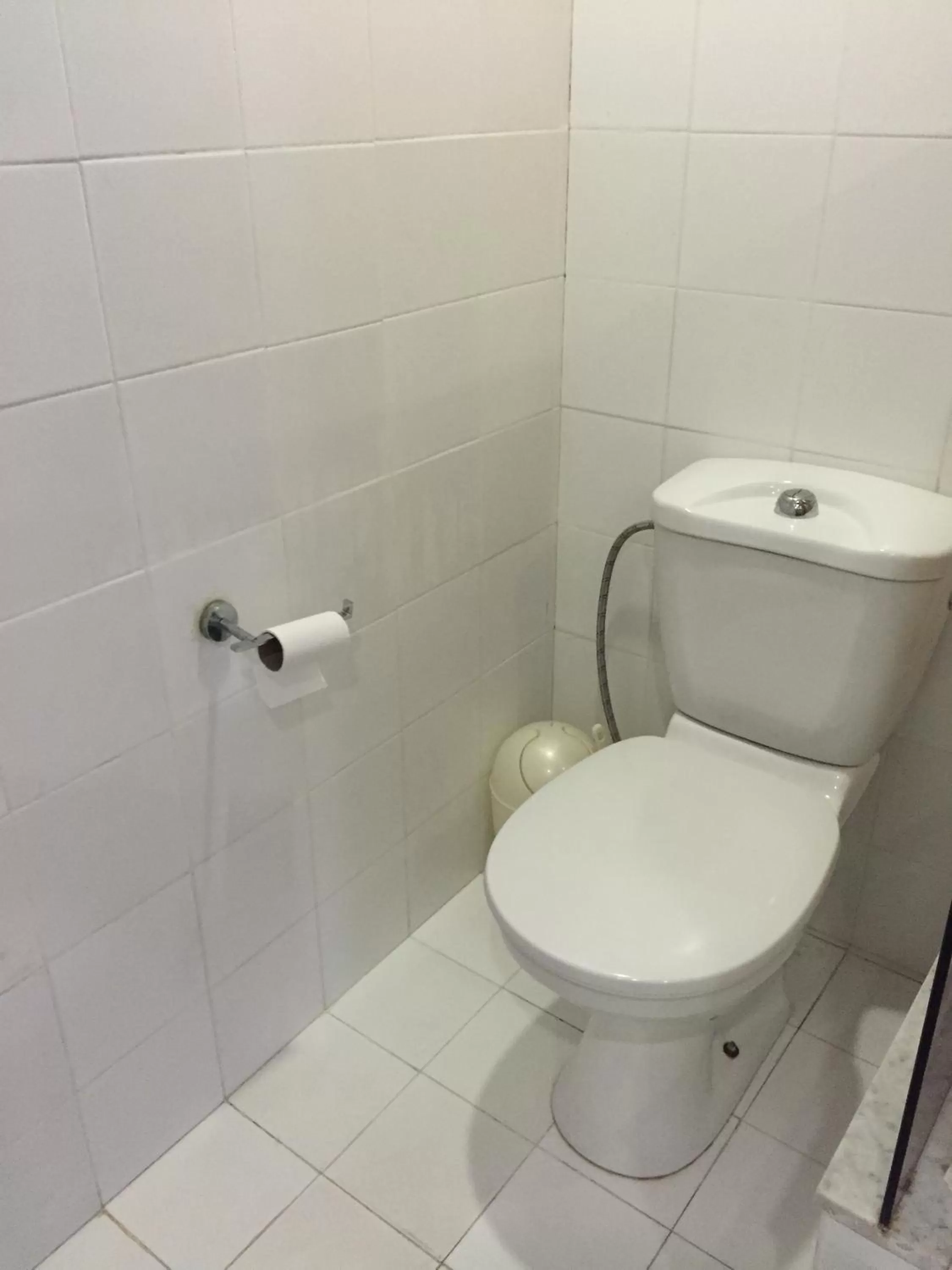 Toilet, Bathroom in Raphael Apartments