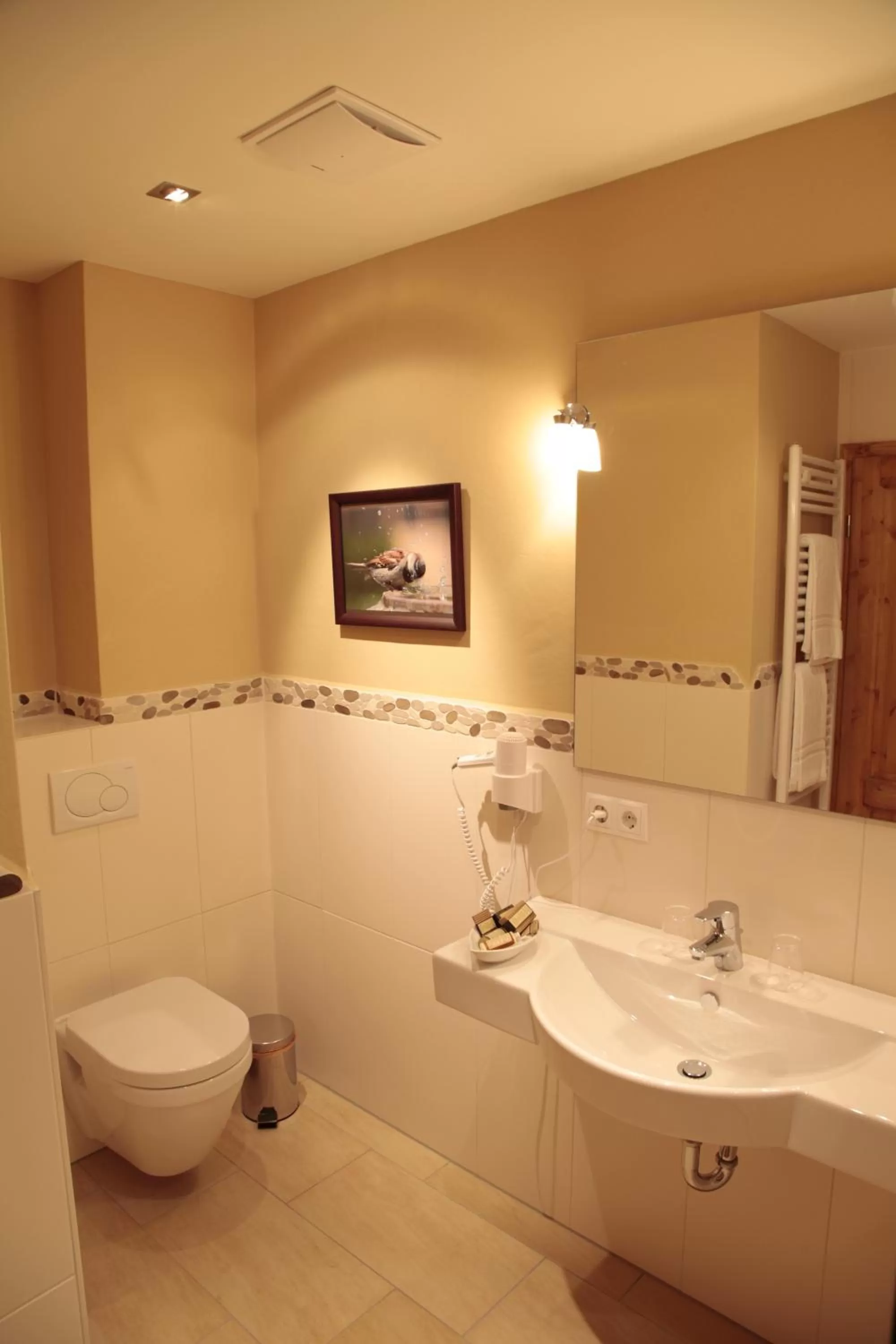 Toilet in Plumbohms ECHT-HARZ-HOTEL