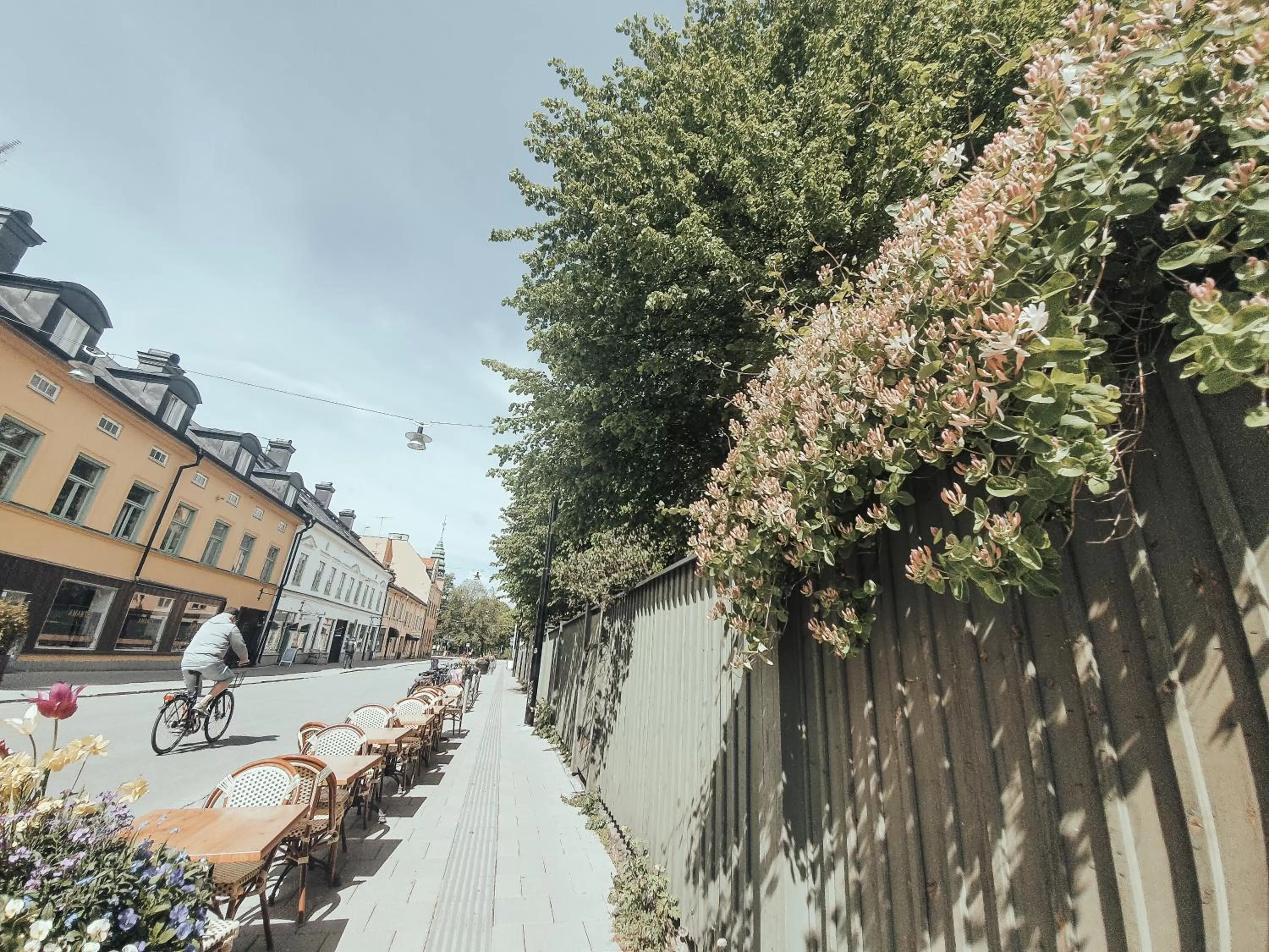 Off site in Botanika Uppsala