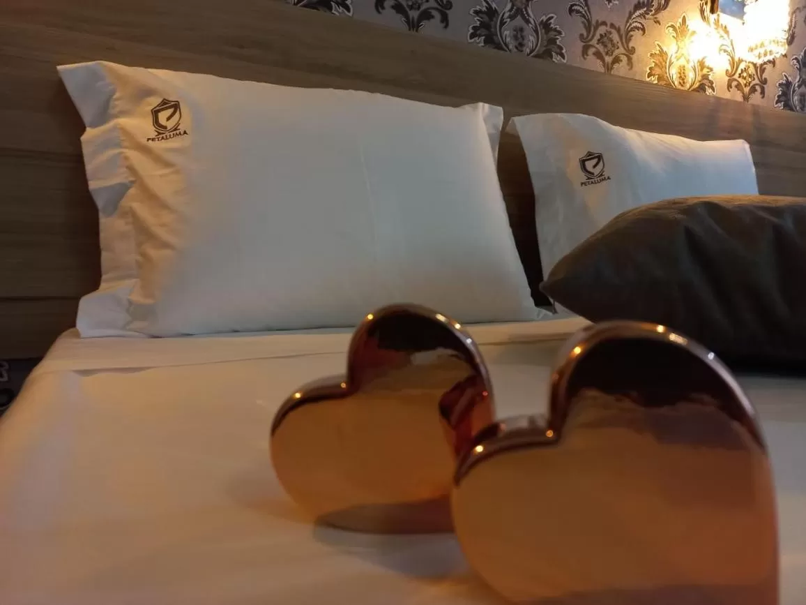 Hotel Petaluma Piumhi