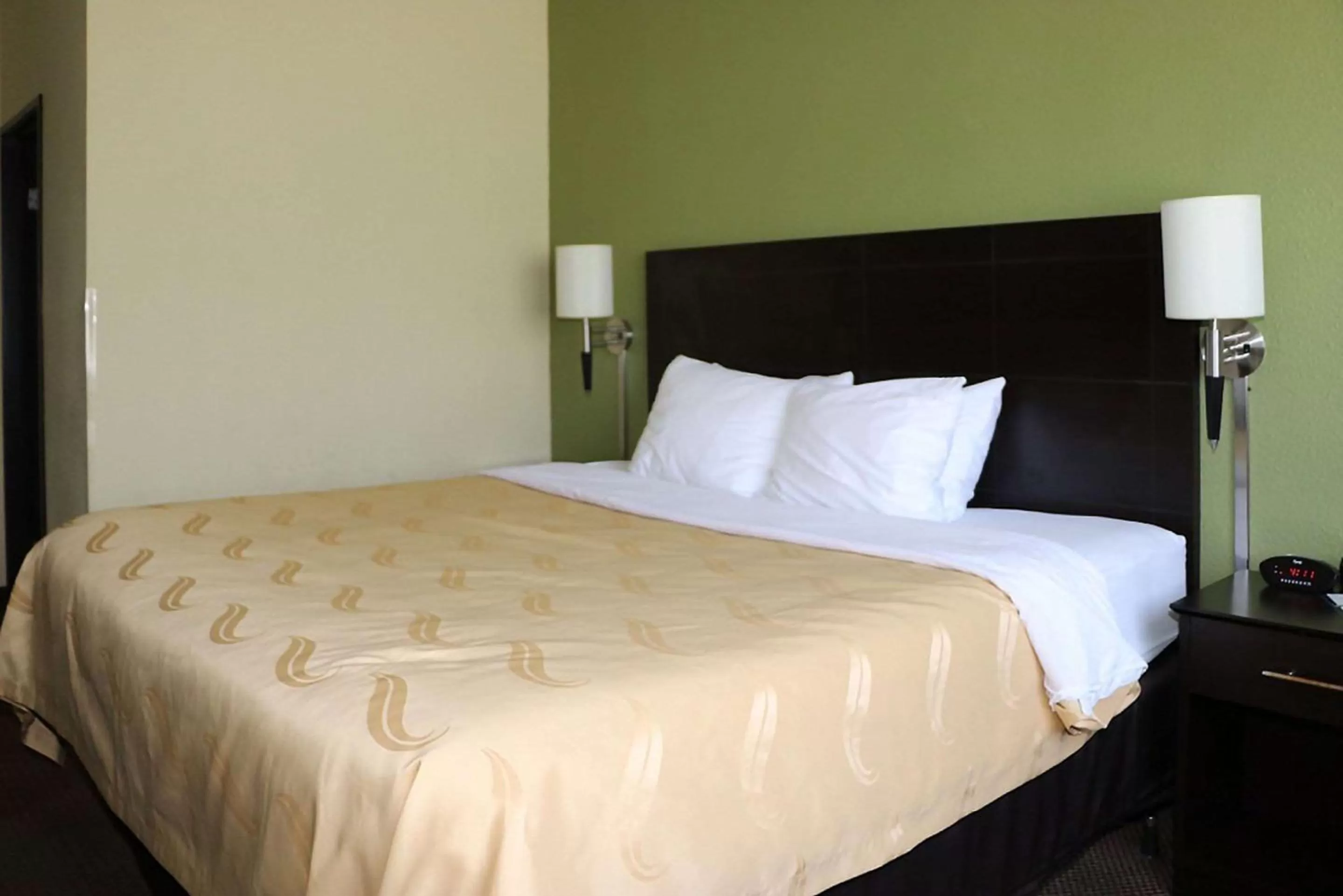Photo of the whole room, Bed in Quality Inn Evansville Eastland Area