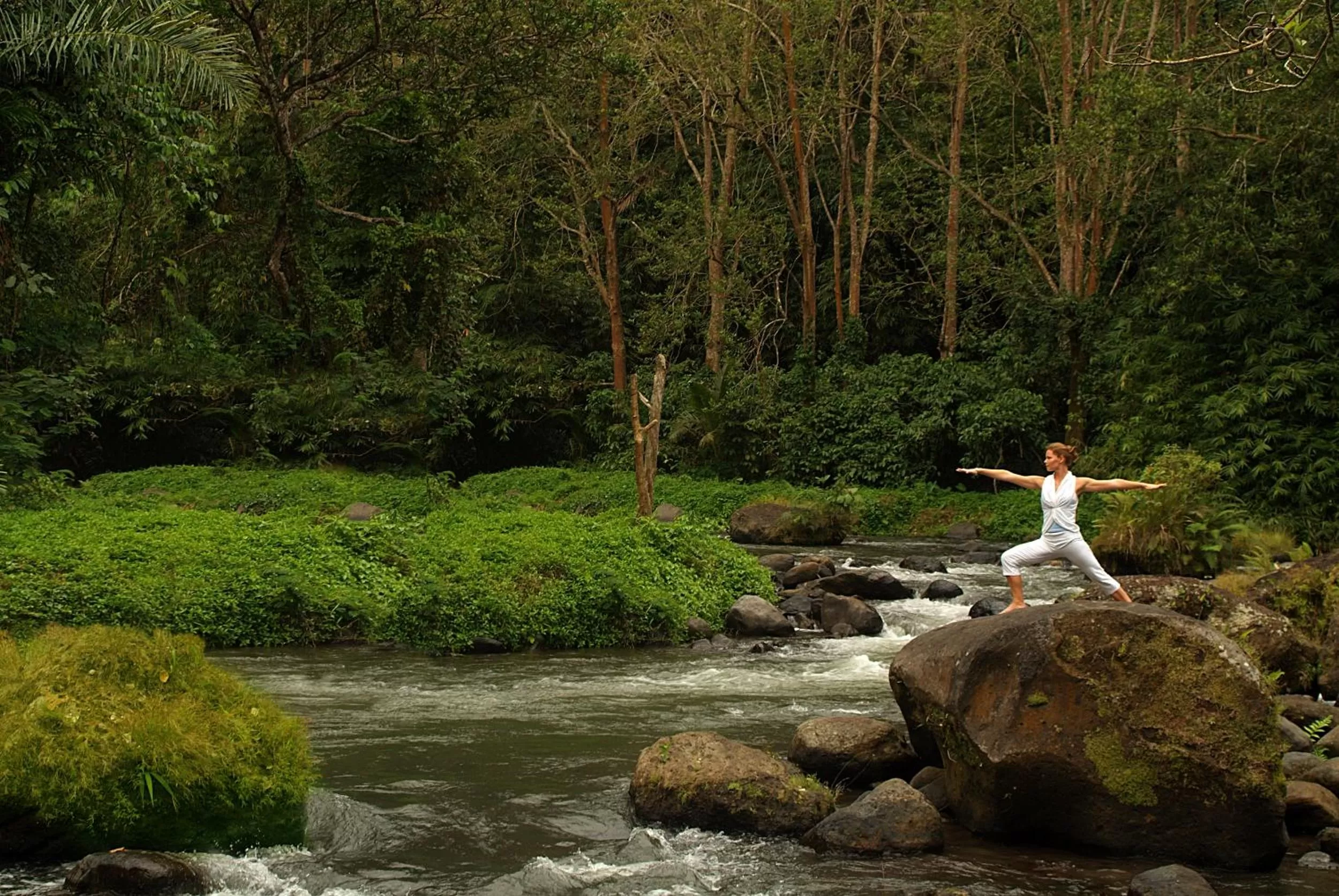 Day in The Royal Pita Maha