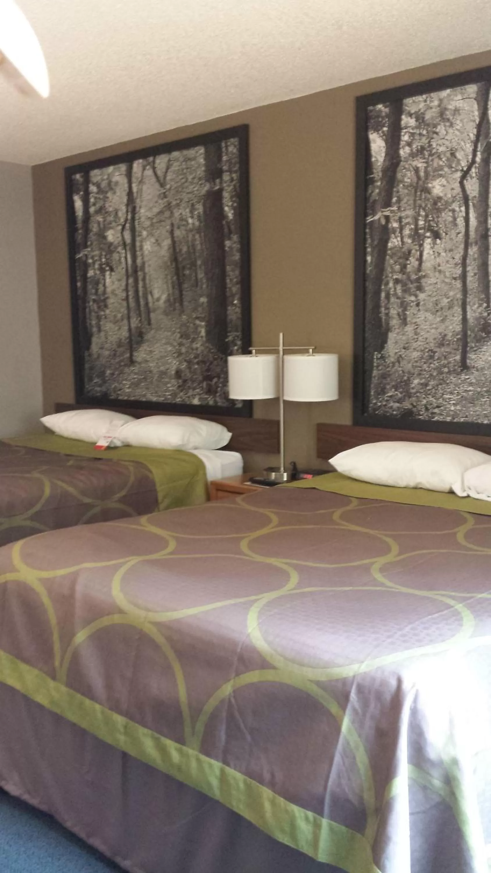 Bed in Super 8 by Wyndham Pella