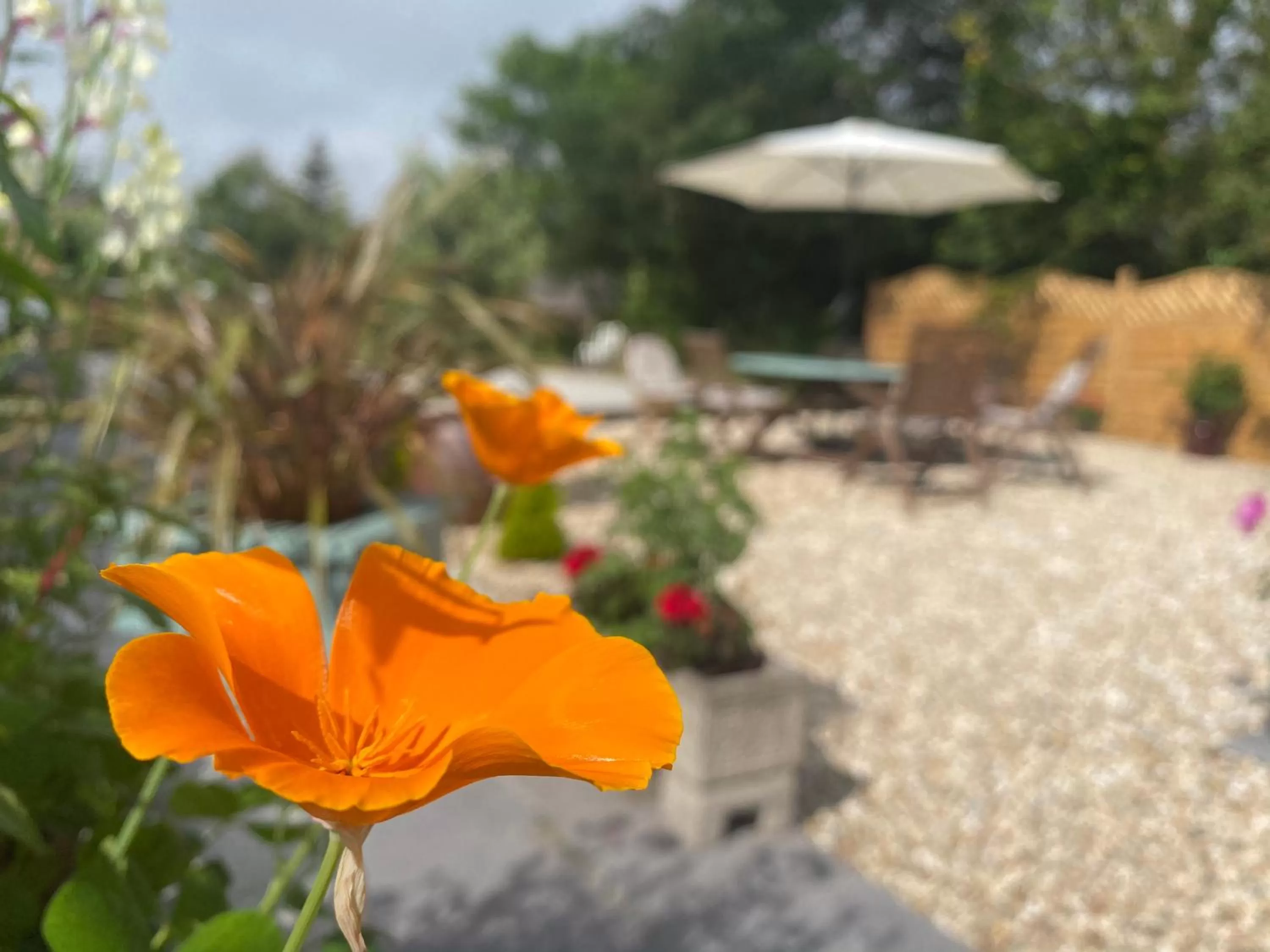 Toppesfield House B&B