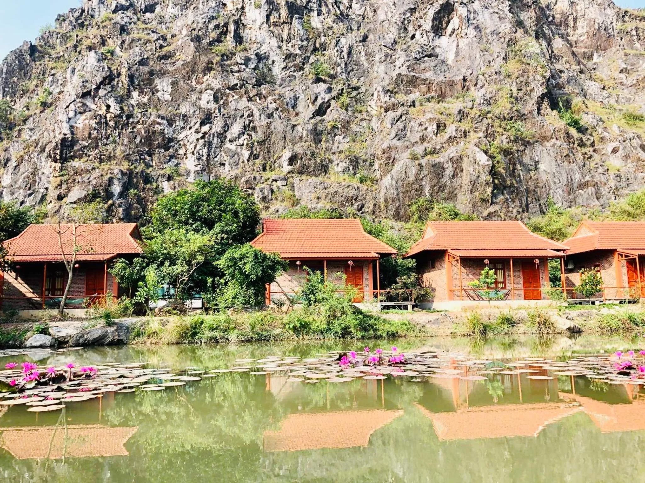 Neighbourhood, Property Building in Trang An Lotus Lake Homestay