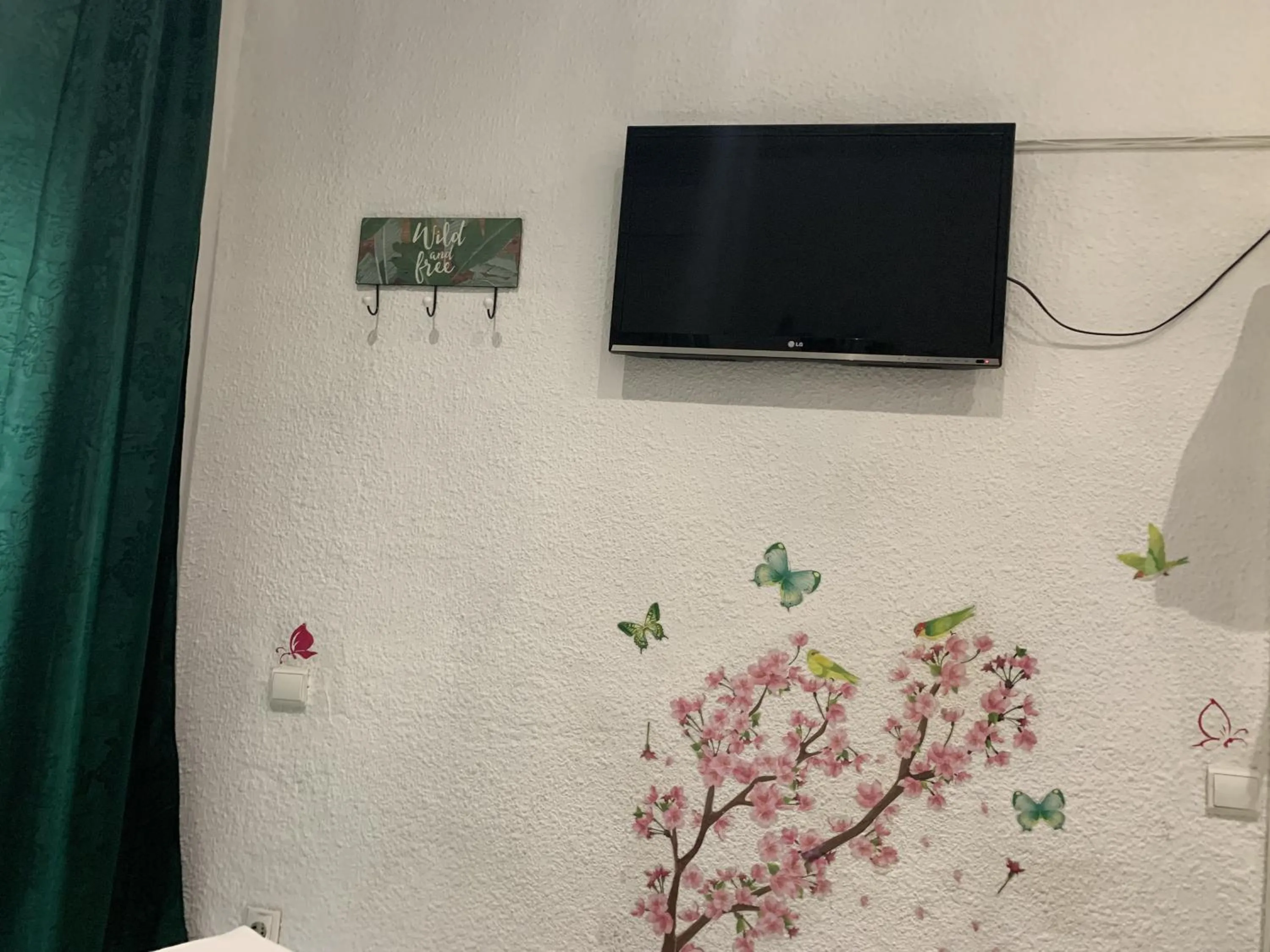 TV and multimedia in Giraldilla