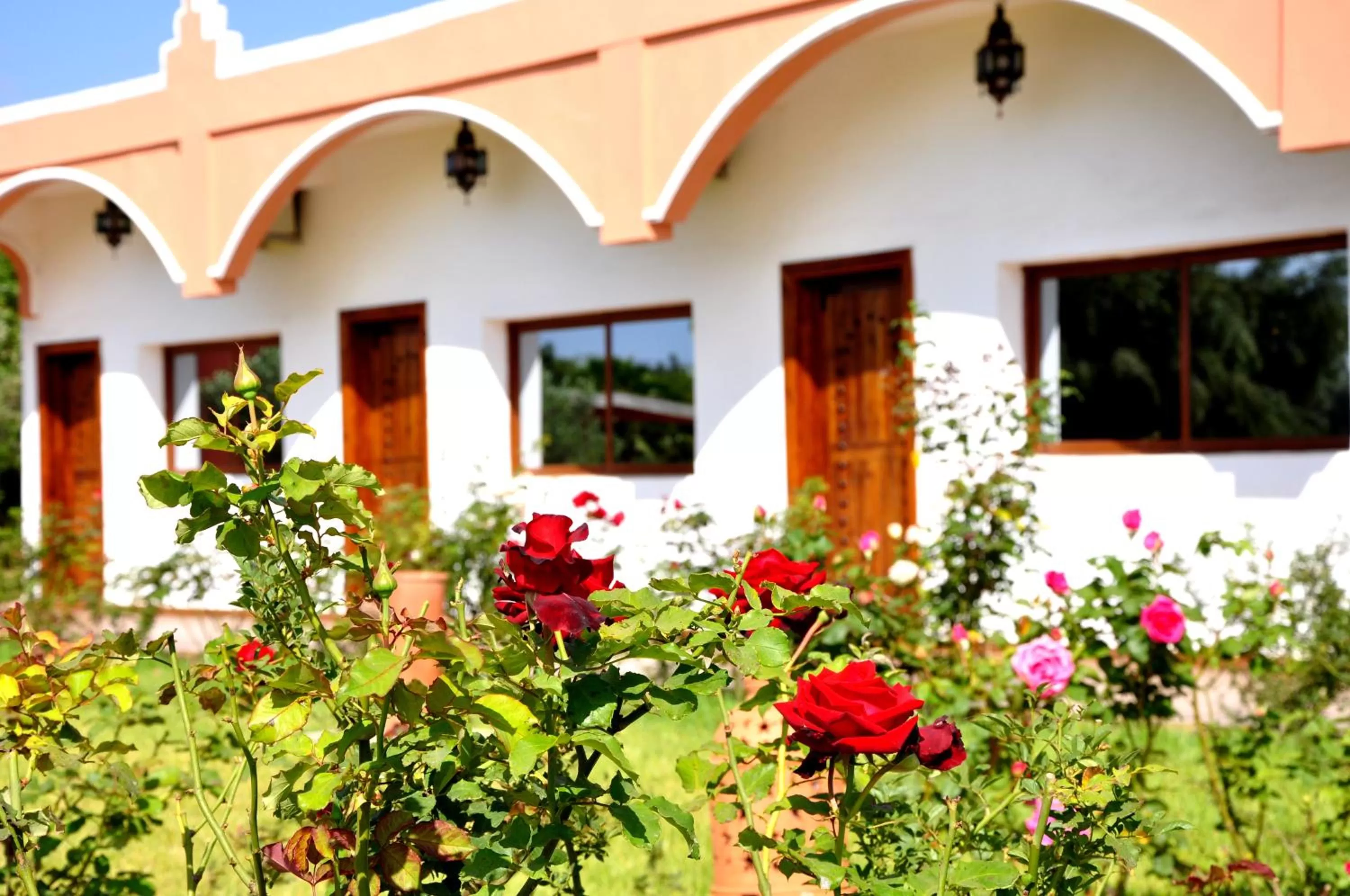 Garden view, Patio/Outdoor Area in Riad Hamdani
