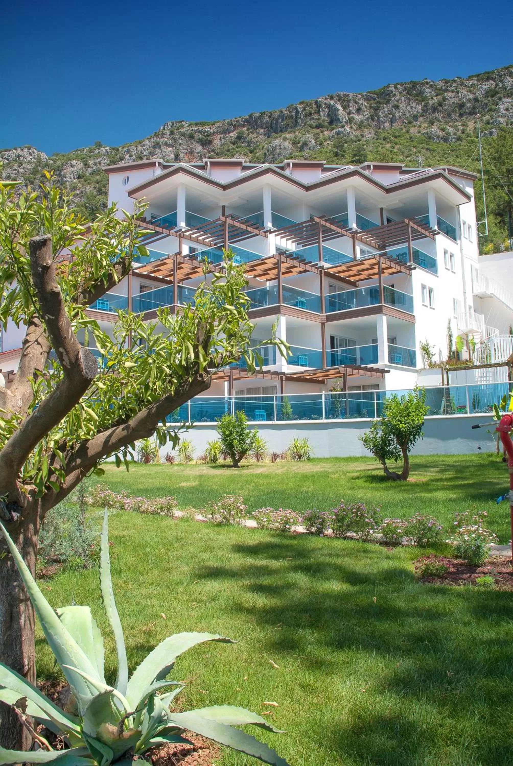 Area and facilities in Garcia Resort & Spa - Ultra All Inclusive