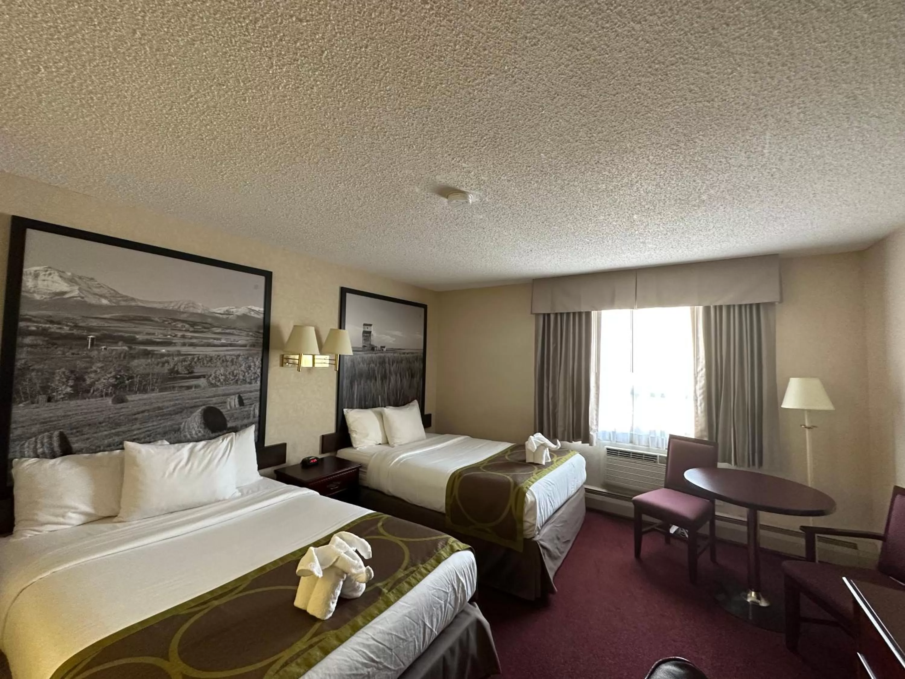 Bed in Super 8 by Wyndham Lethbridge