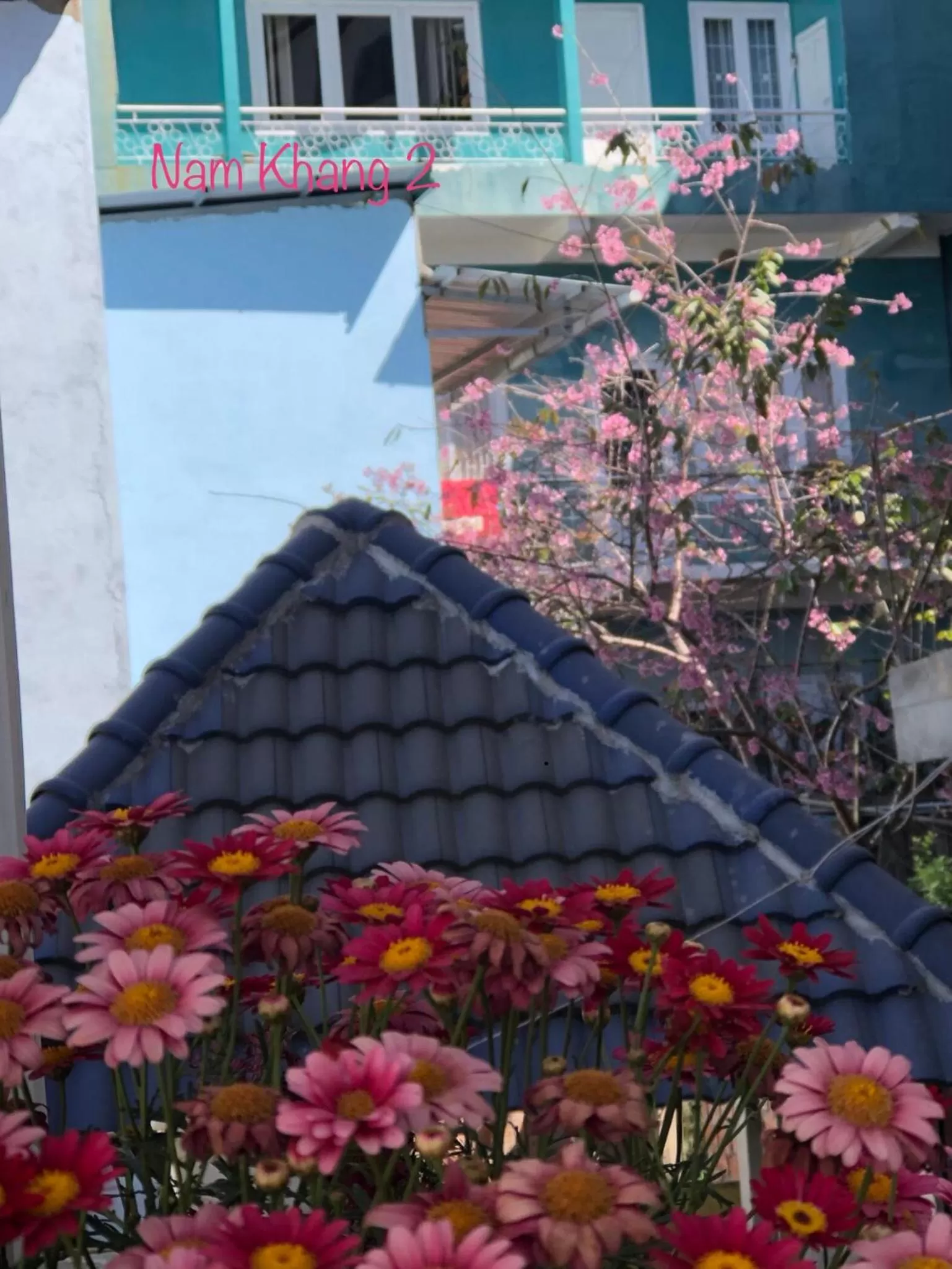 Garden, Property Building in Villa - Hotel Nam Khang 2 Dalat