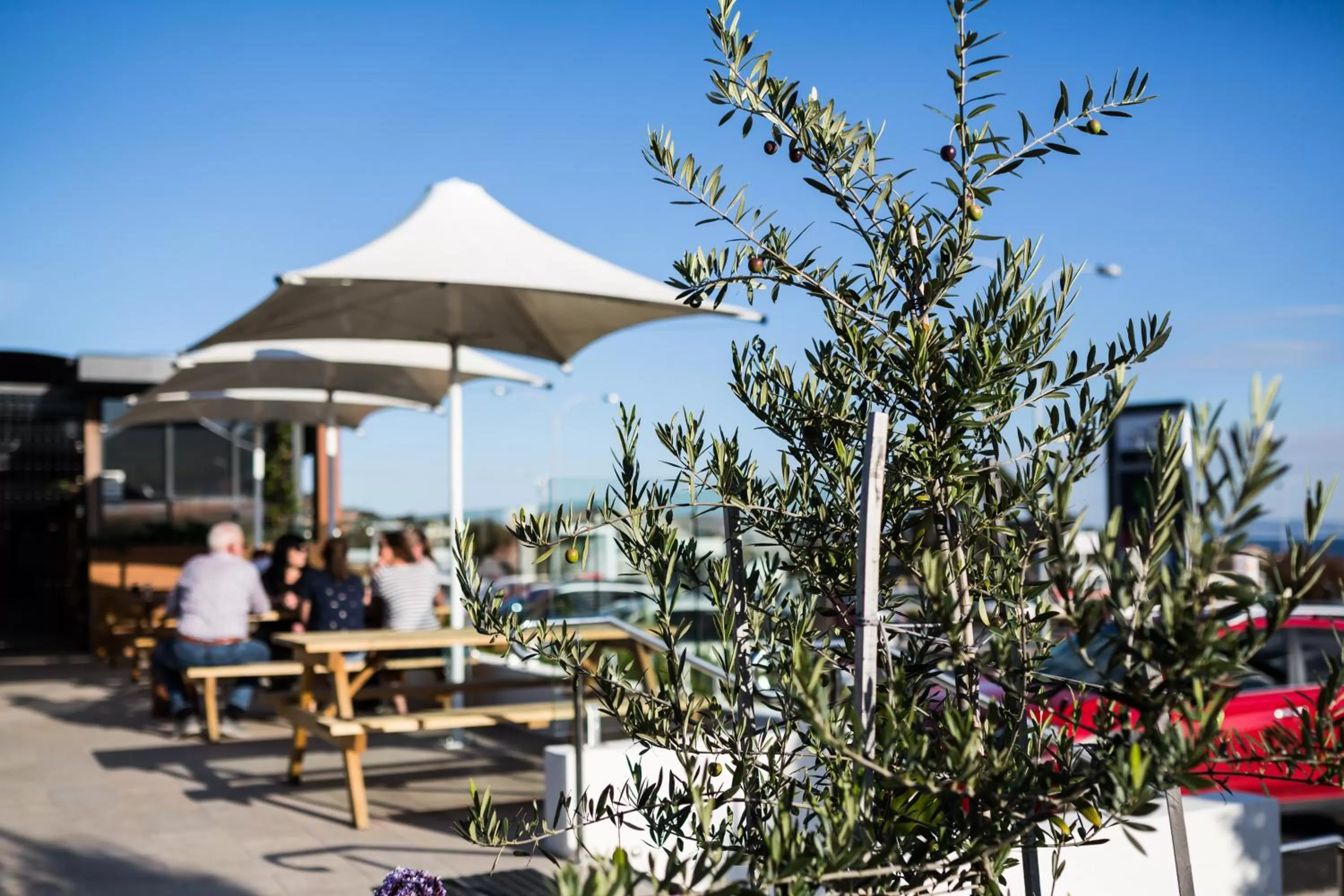 Patio in Shoreline Hotel