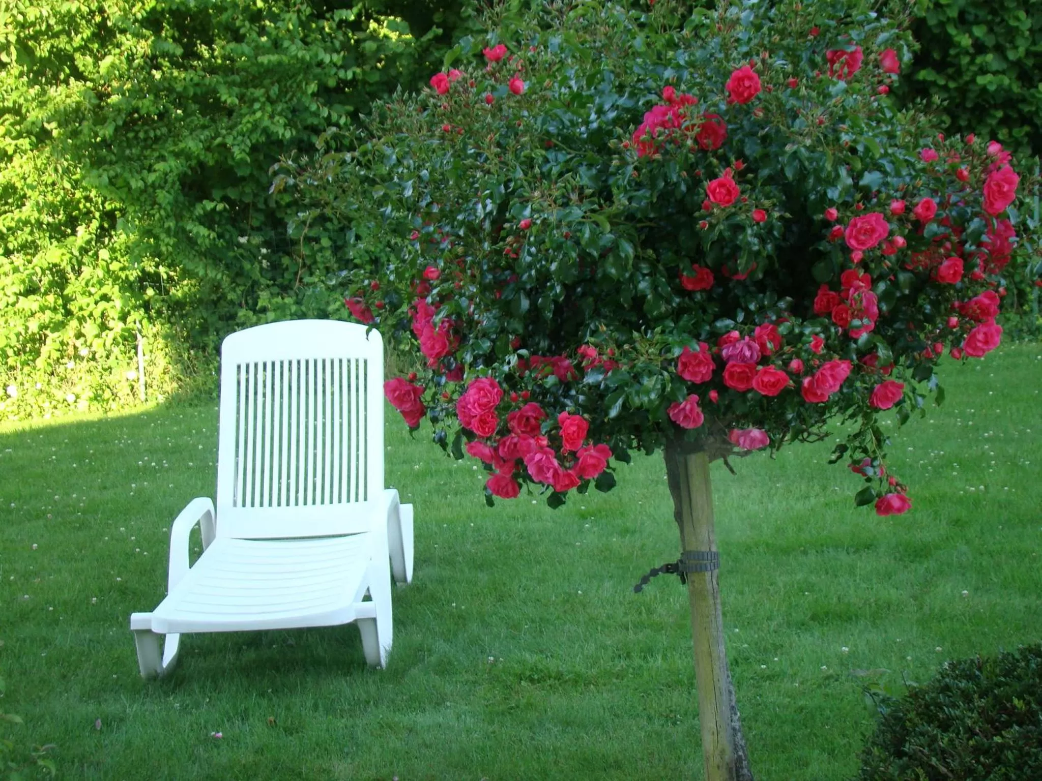 Chambres d'hôtes Le Bignon dans les Alpes Mancelles