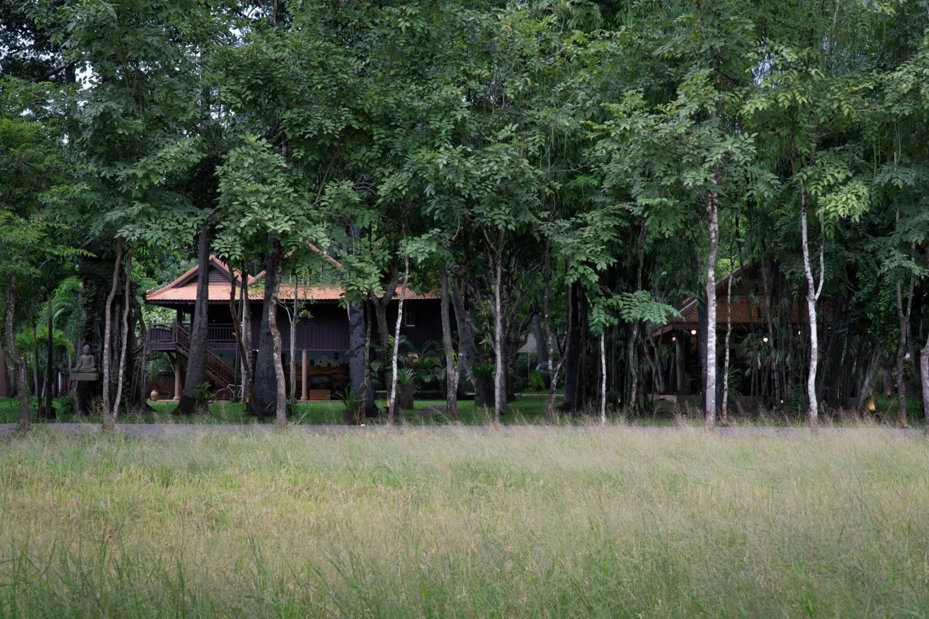 Garden in Mane Family Vacation