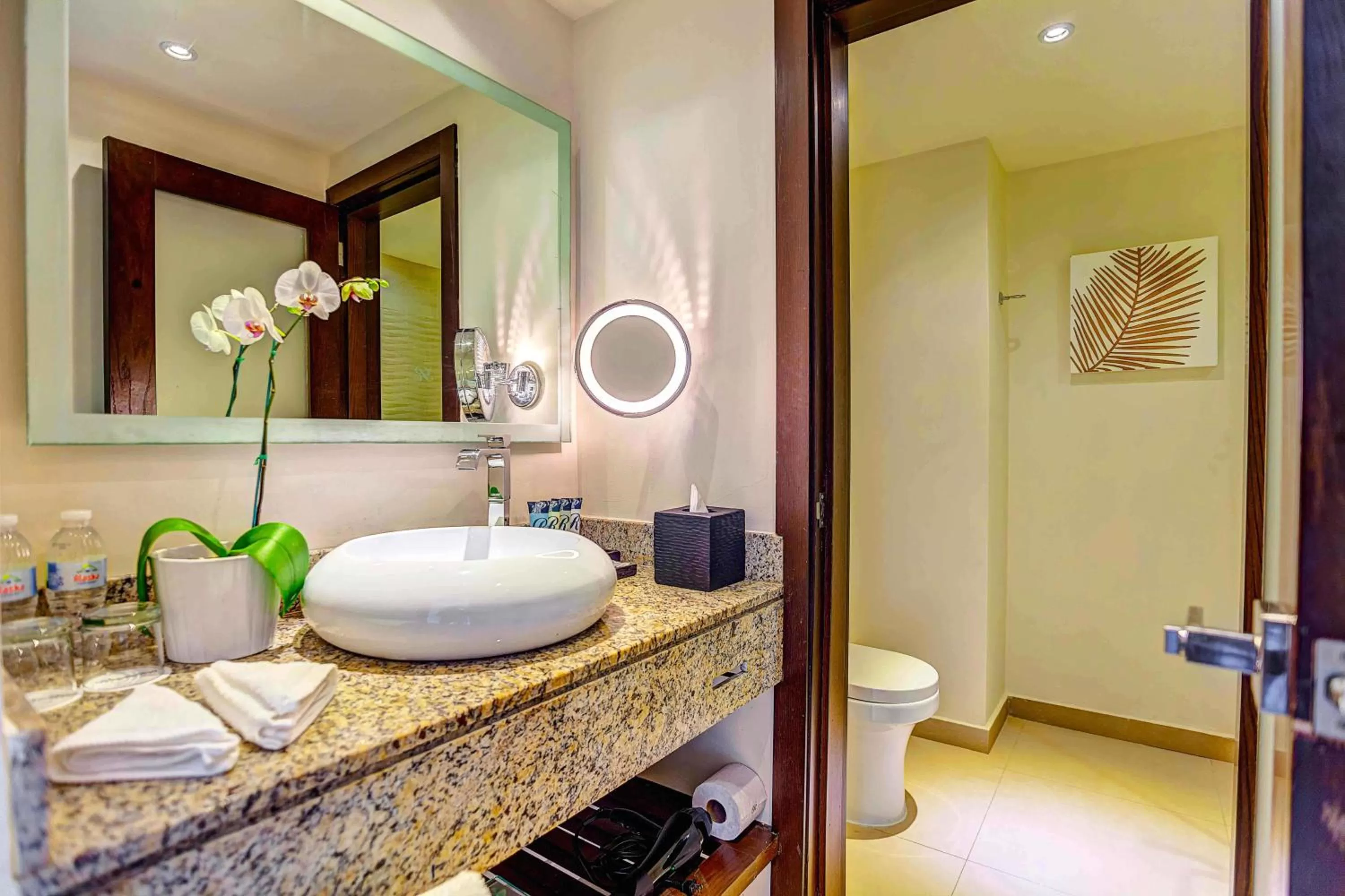 Luxury Room Diamond Club  in Hideaway at Royalton Punta Cana, An Autograph Collection All-Inclusive Resort & Casino, Adults Only
