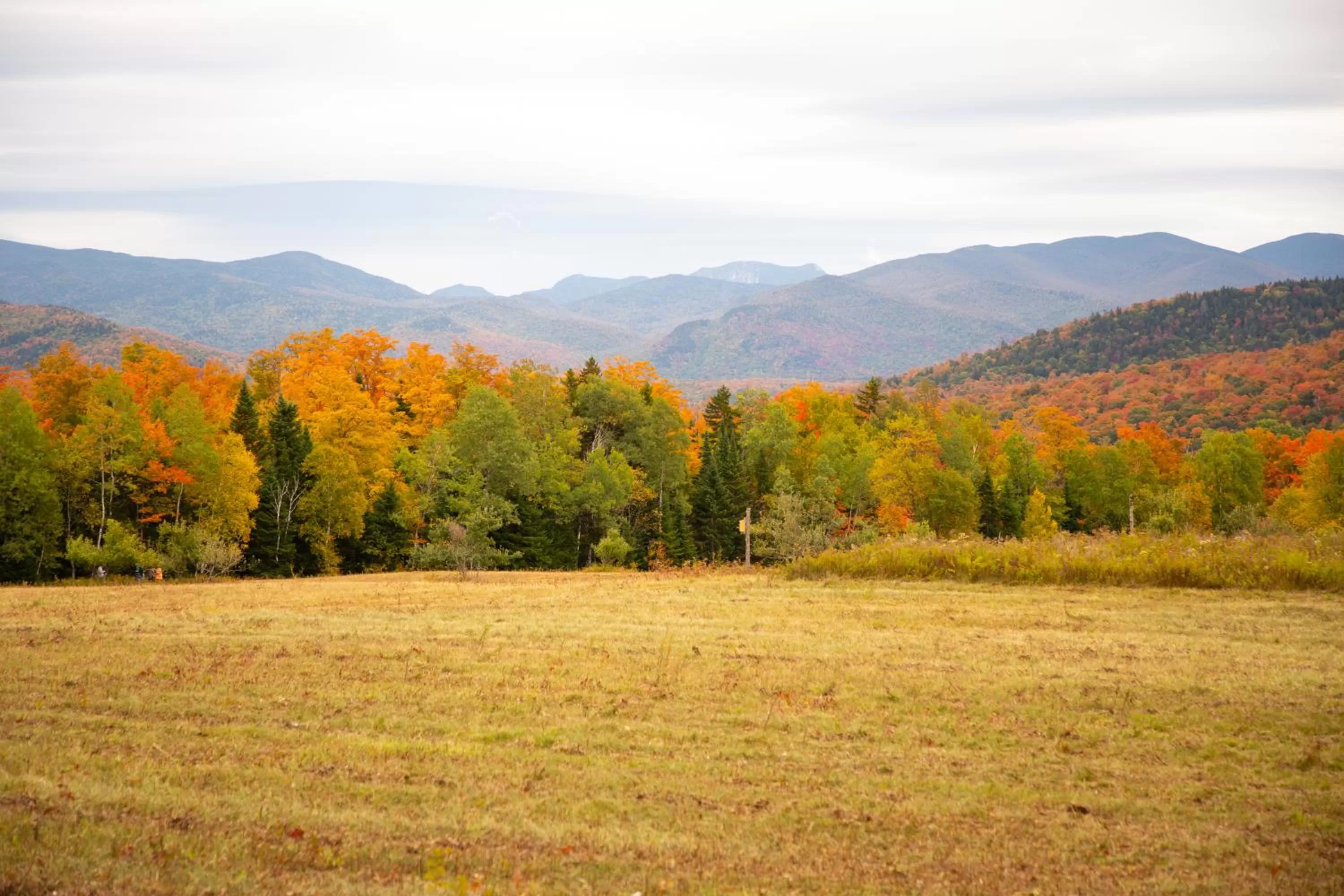 Natural landscape in Lake Placid Inn: Residences
