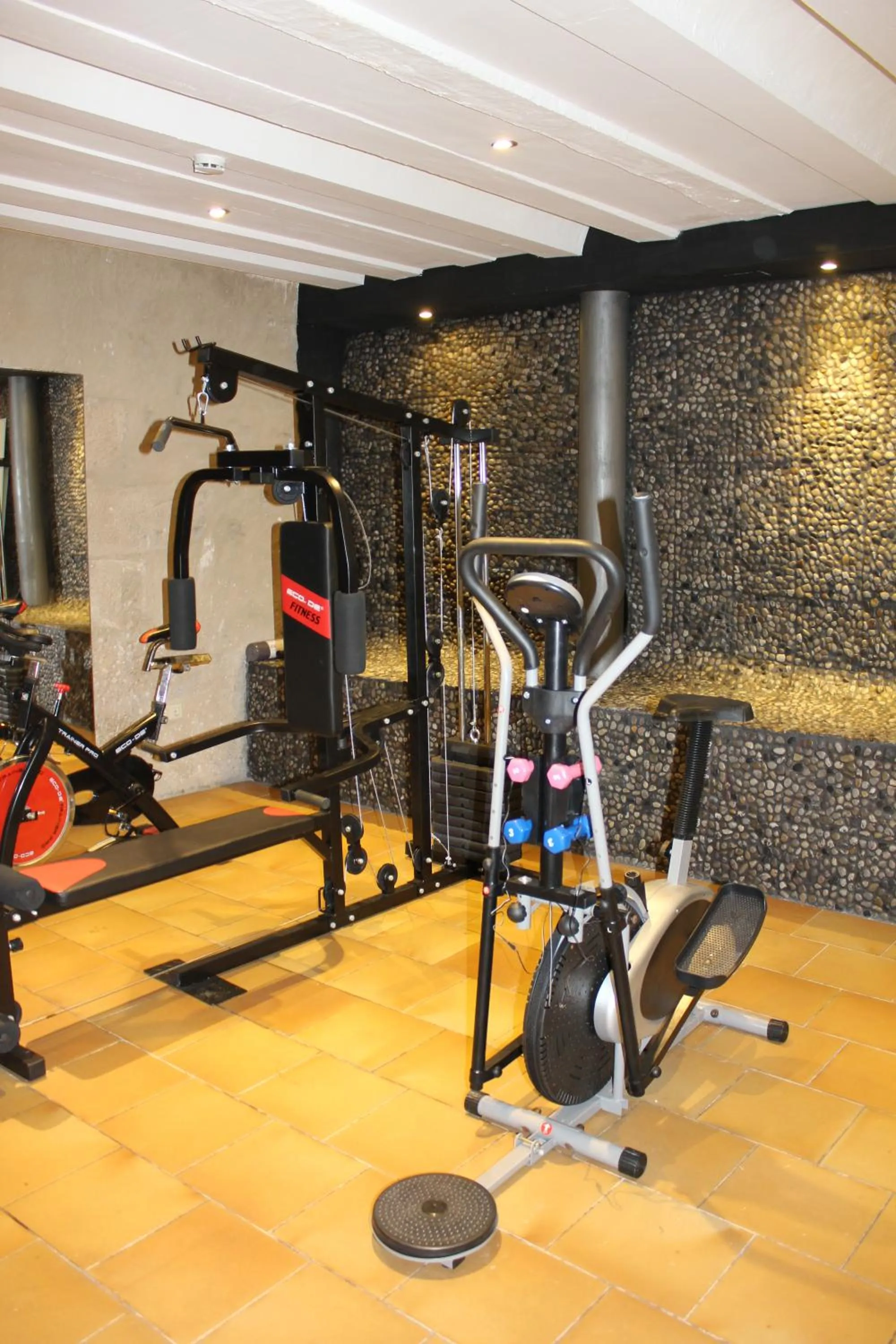 Fitness centre/facilities in Hotel Leonor de Aquitania