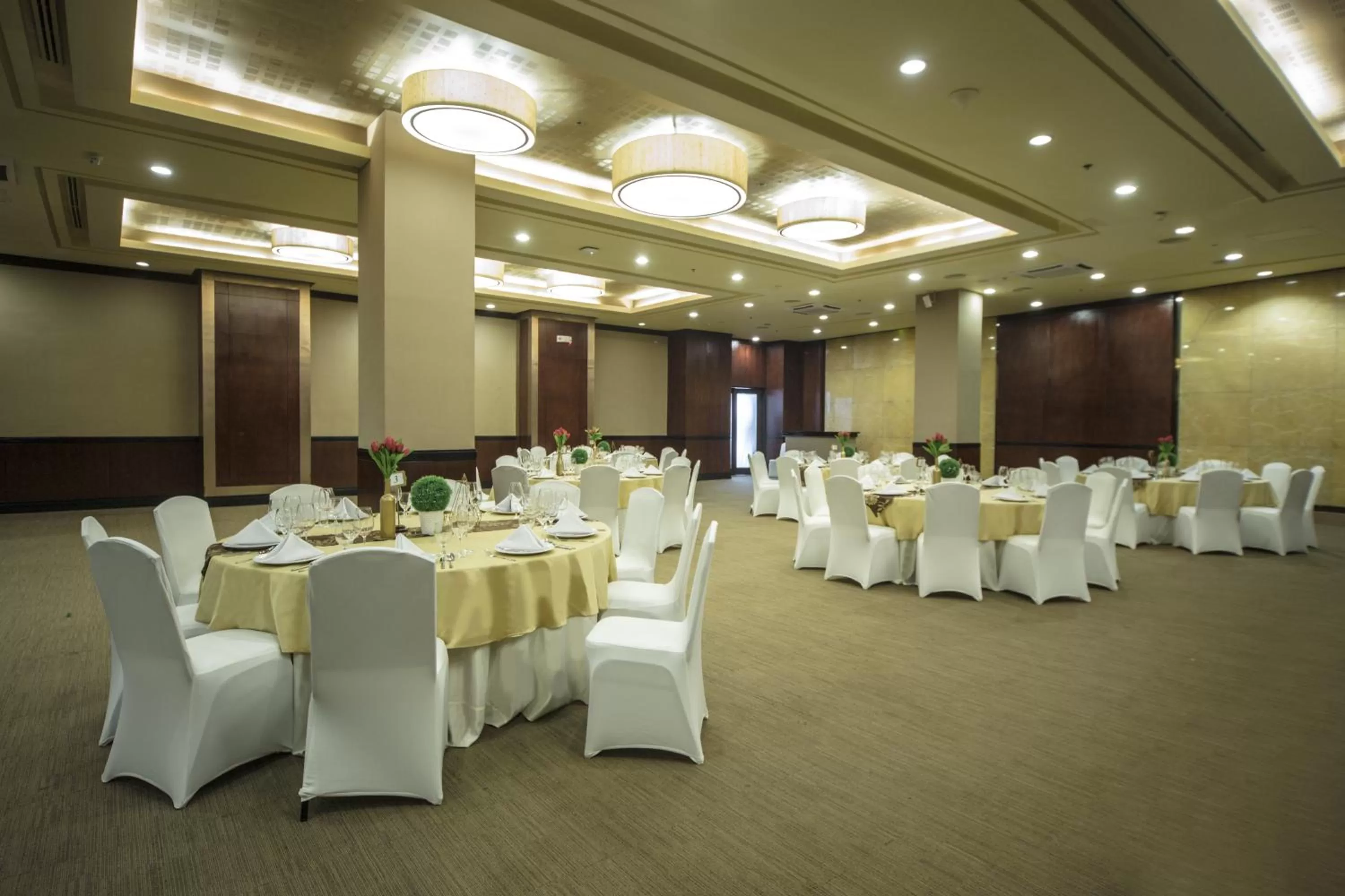 Banquet/Function facilities in The Alpha Suites