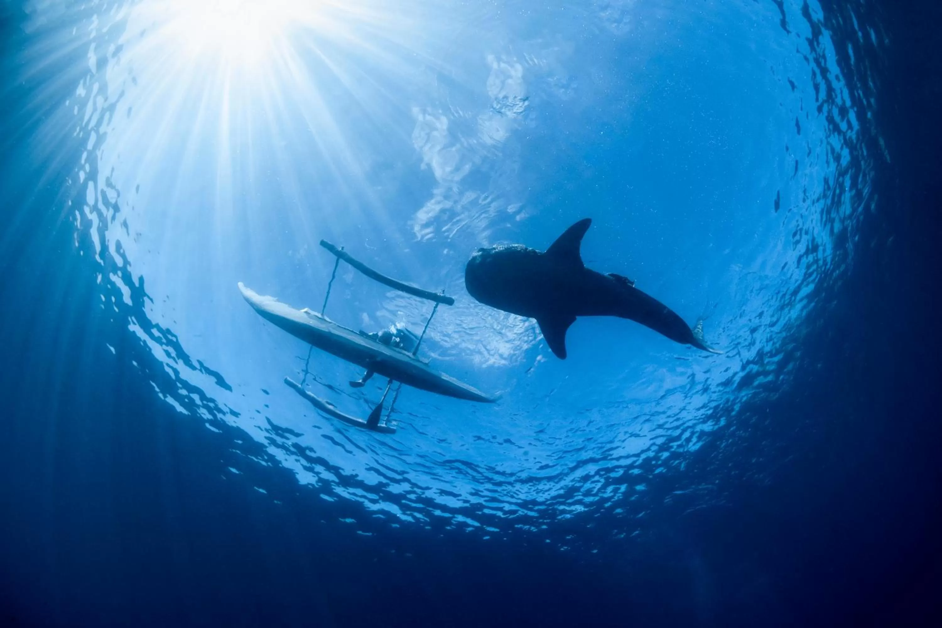 Diving in Emoha Dive Resort