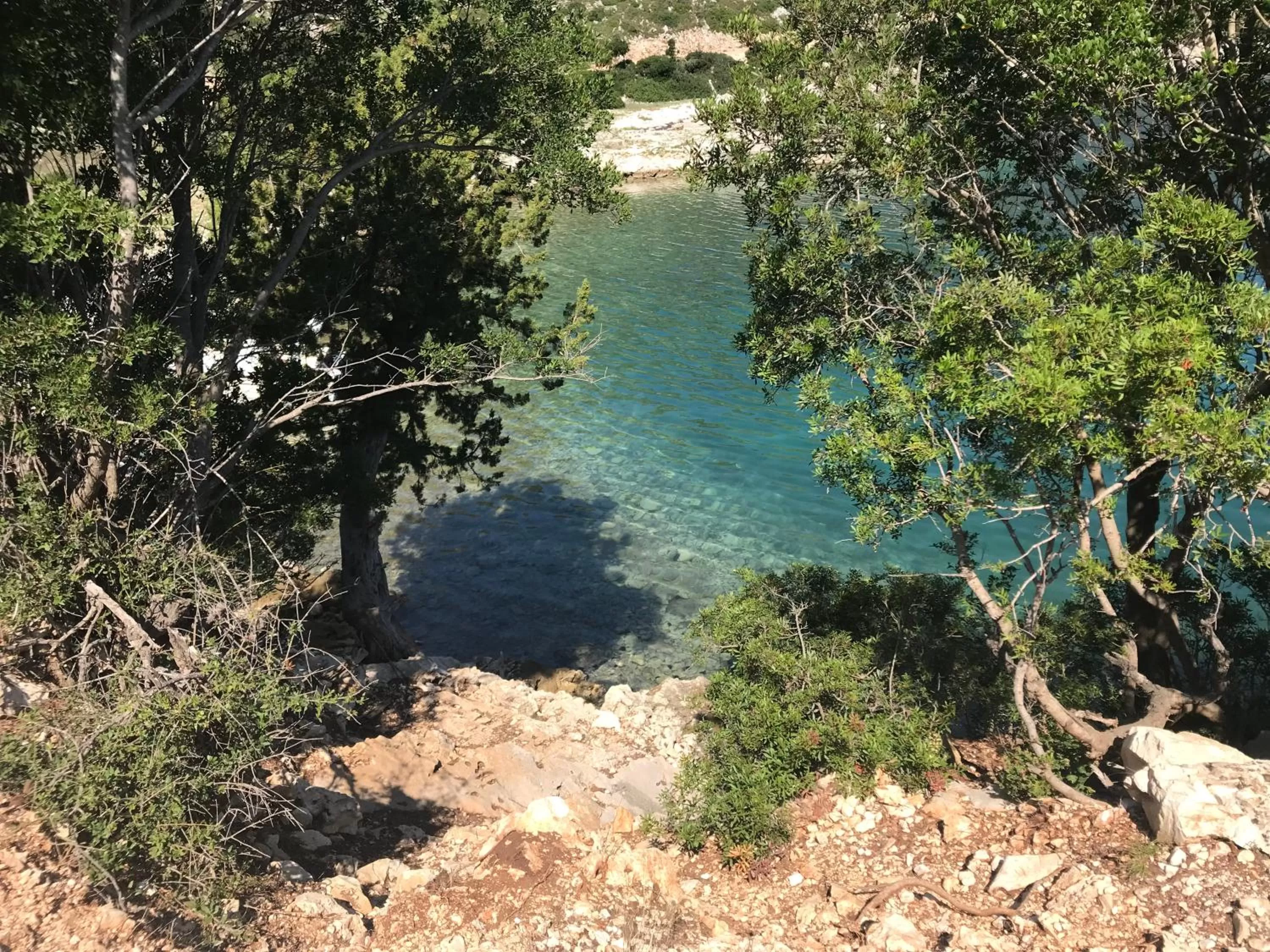 Sea view in Hotel Alba-Gert