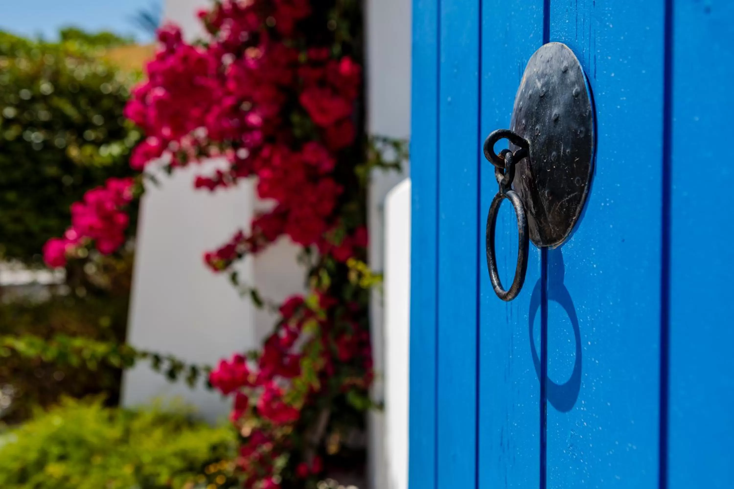 Garden in Aliathon Aegean