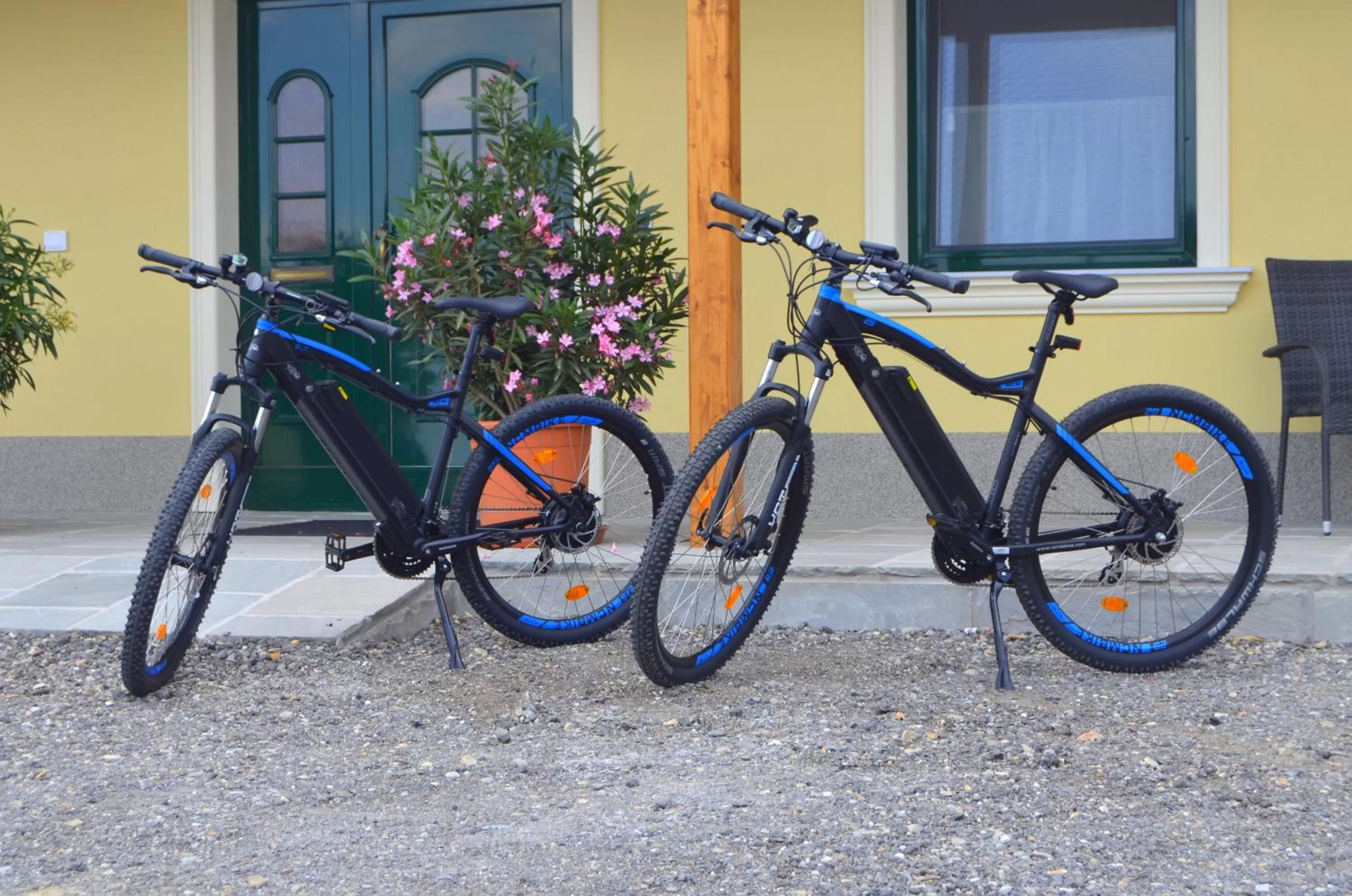 Cycling, Biking in Pension zum Strell