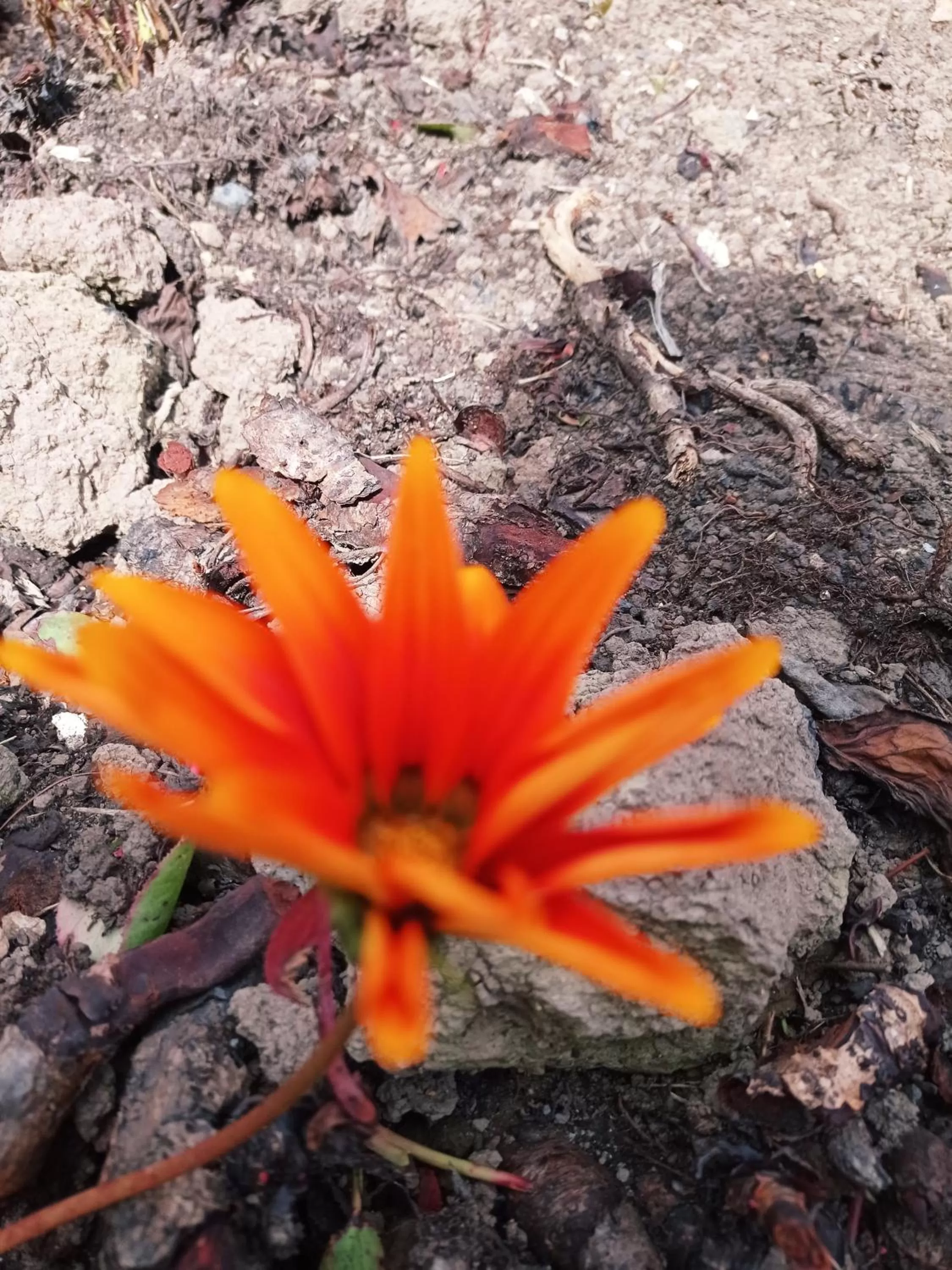 Hotel Refugio Pozo Azul