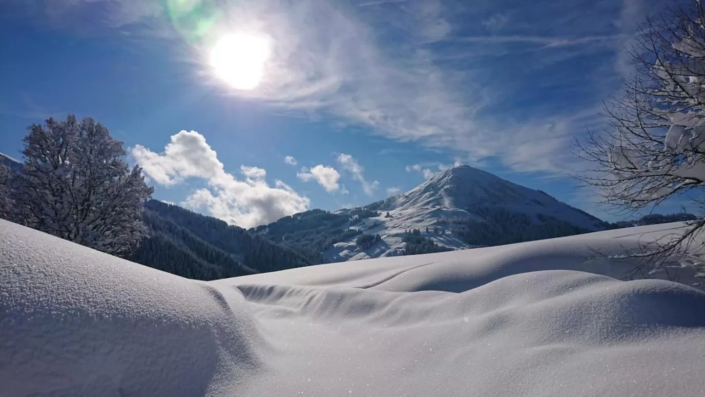 Winter in Hotel Gisela