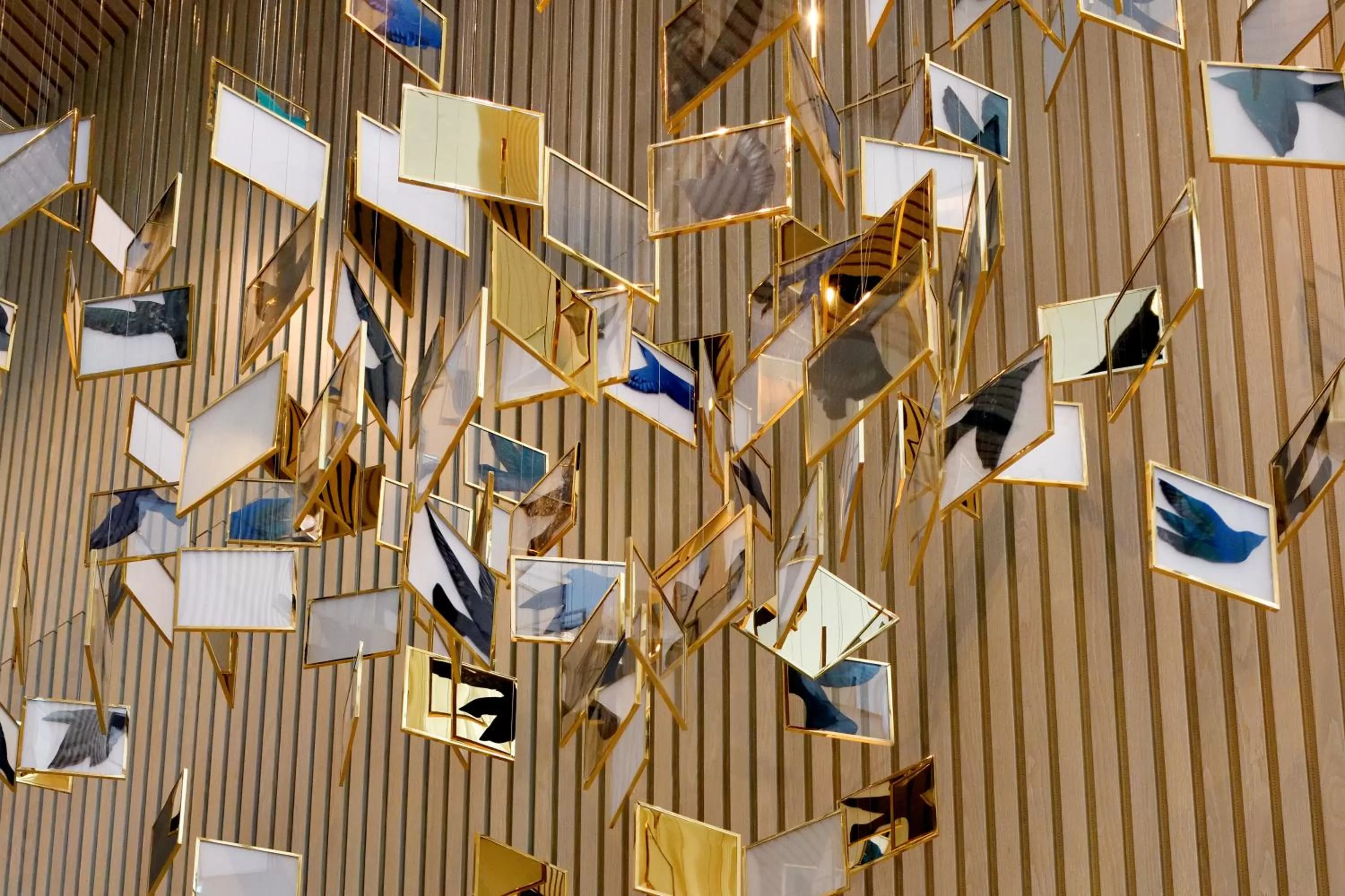 Other in Vida Emirates Hills