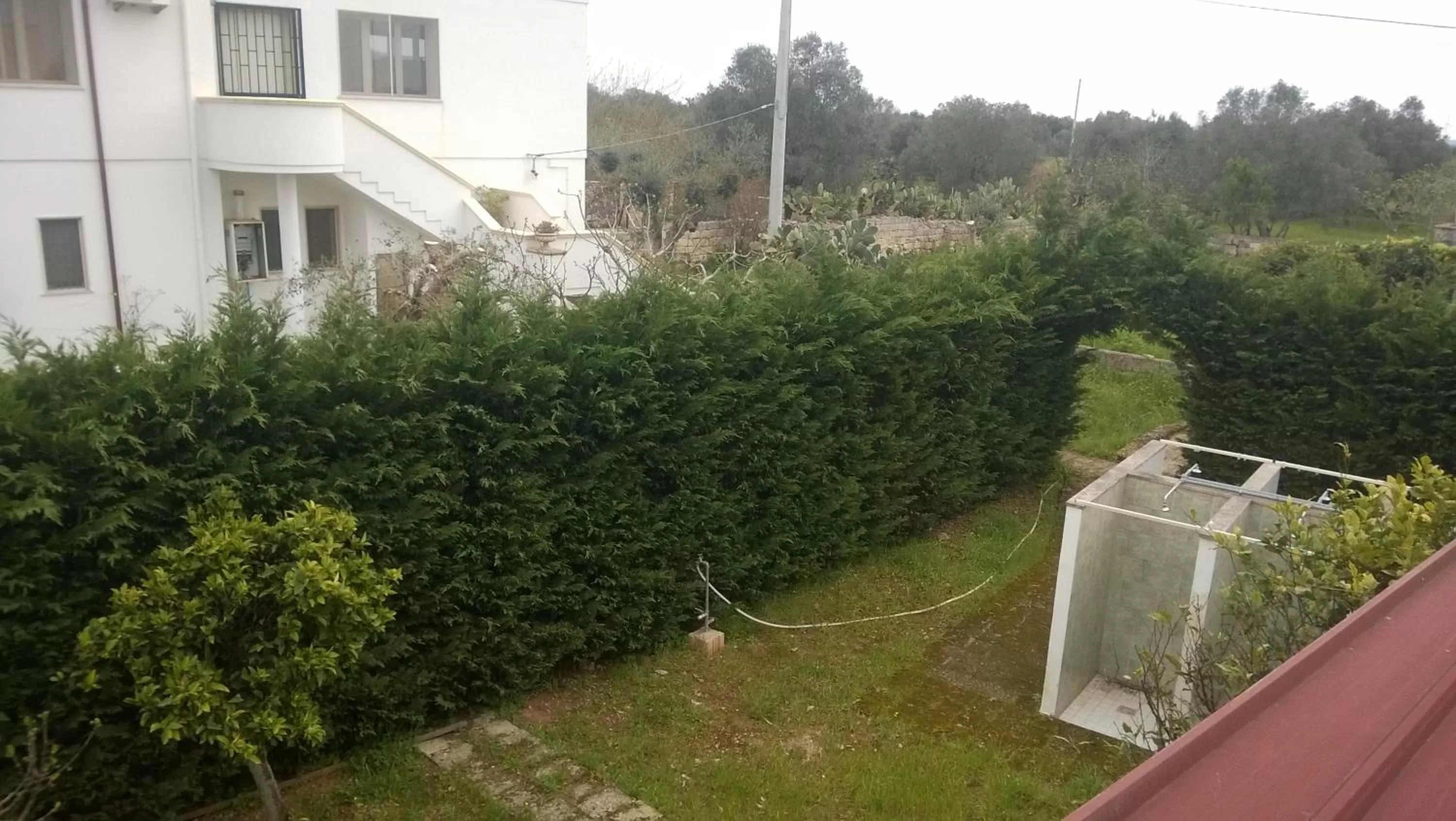 Garden view in B&B La Seta Rossa