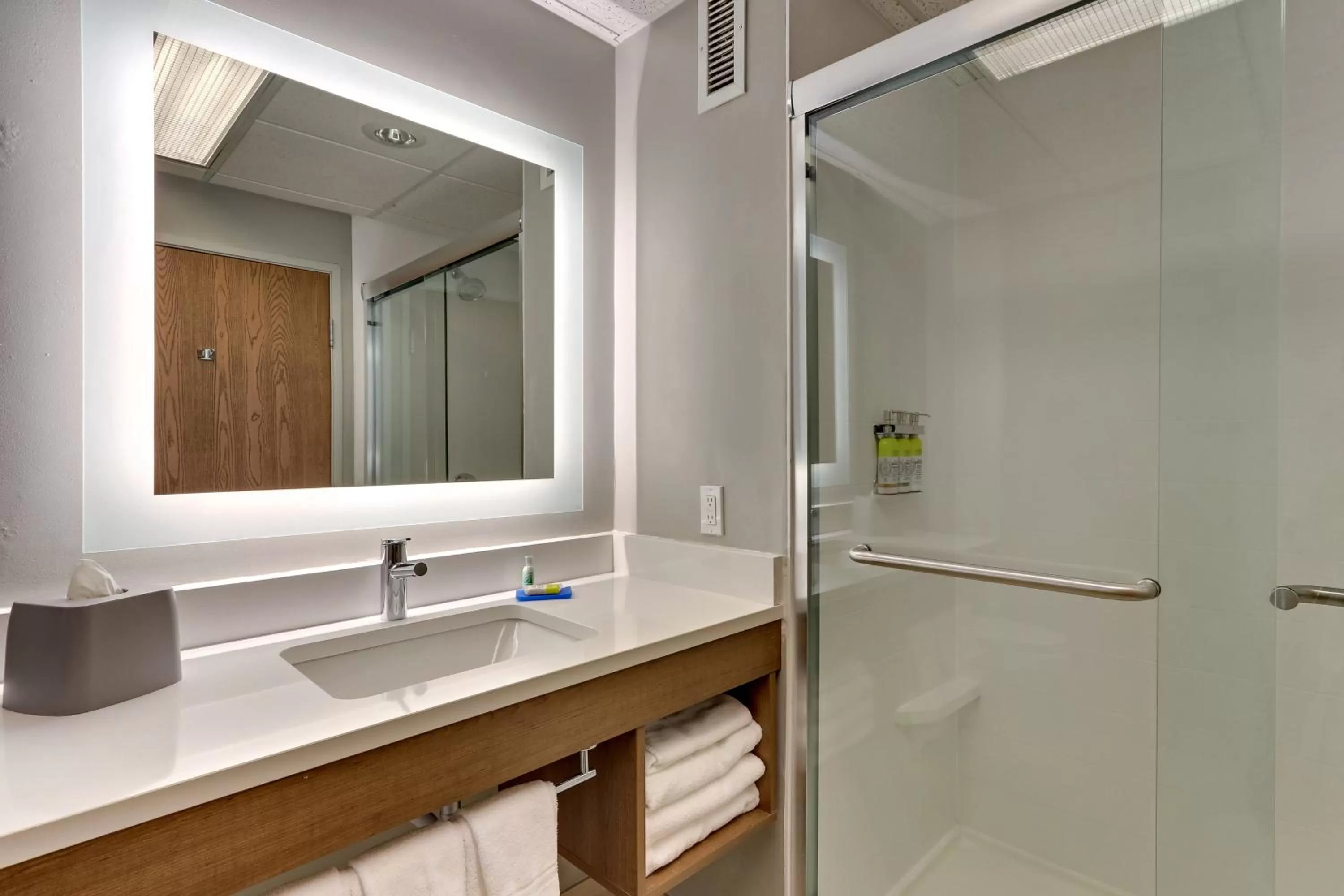 Bathroom in Holiday Inn Express & Suites Bad Axe by IHG