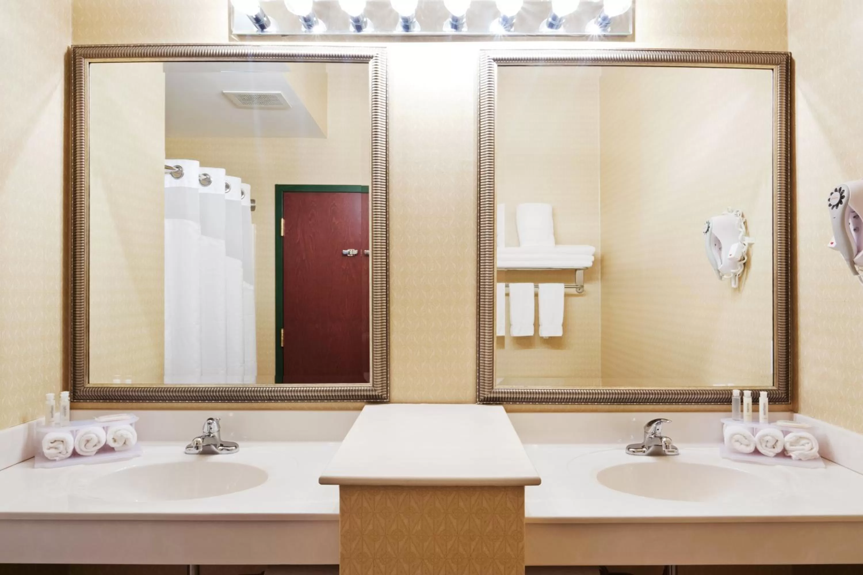 Bathroom in Holiday Inn Express Durham-UNH, an IHG Hotel