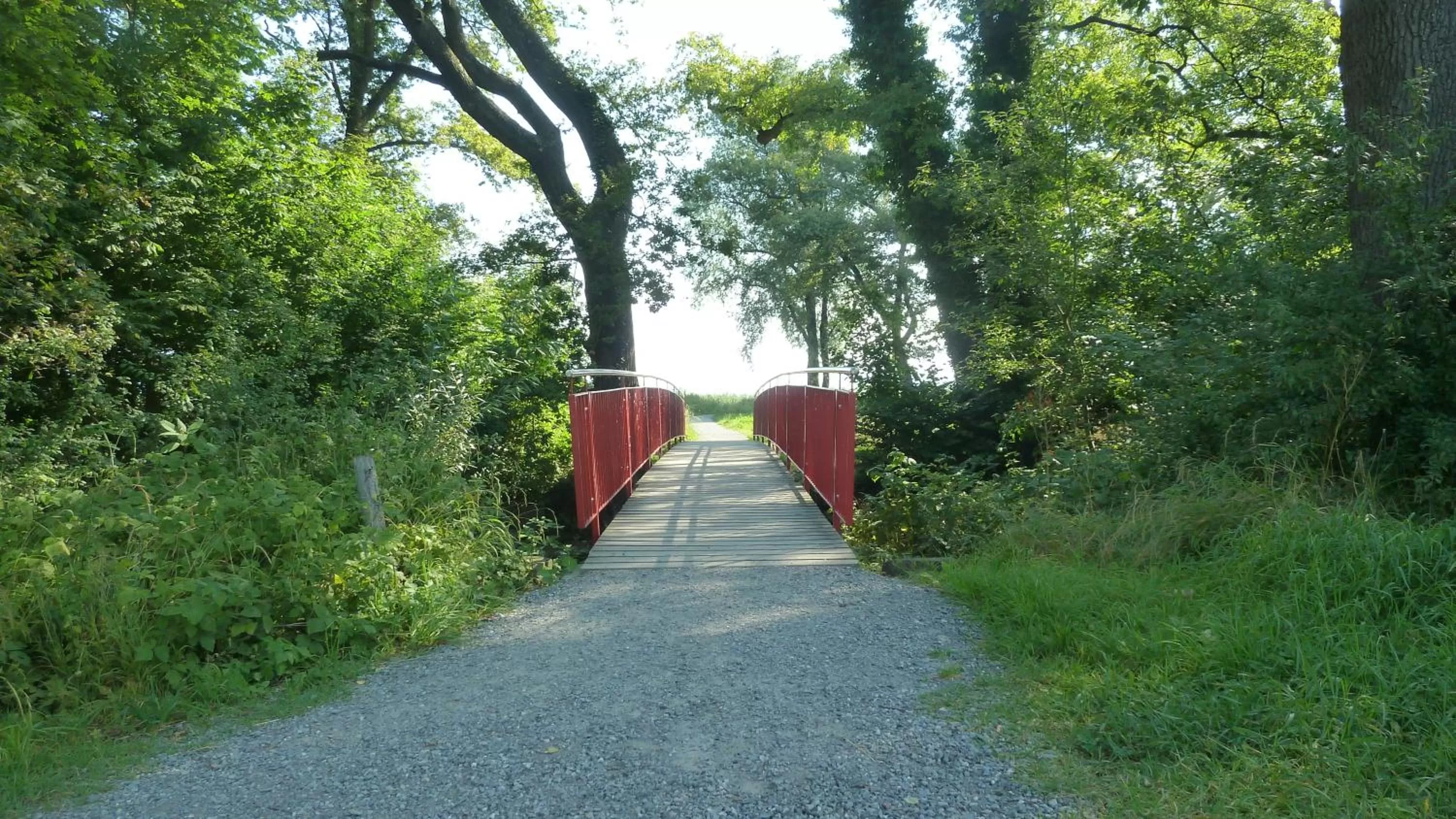 Garden in Hotel Restaurant Sokrates