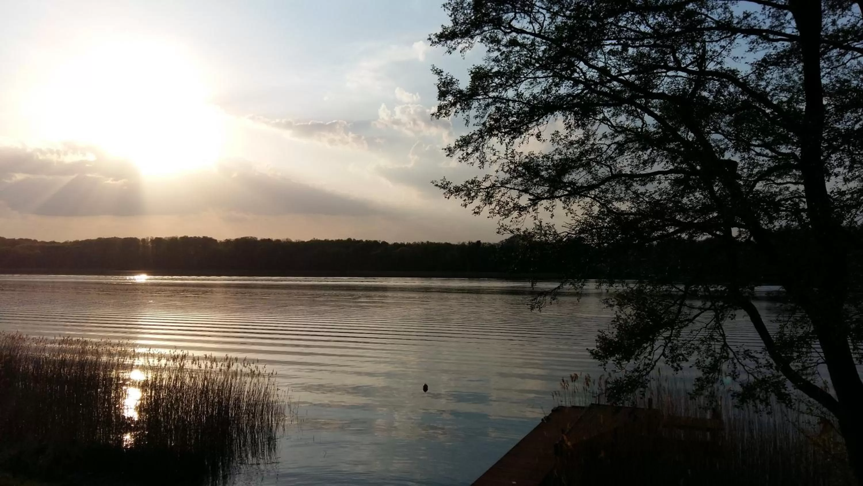 Natural landscape in Port Jeziorak