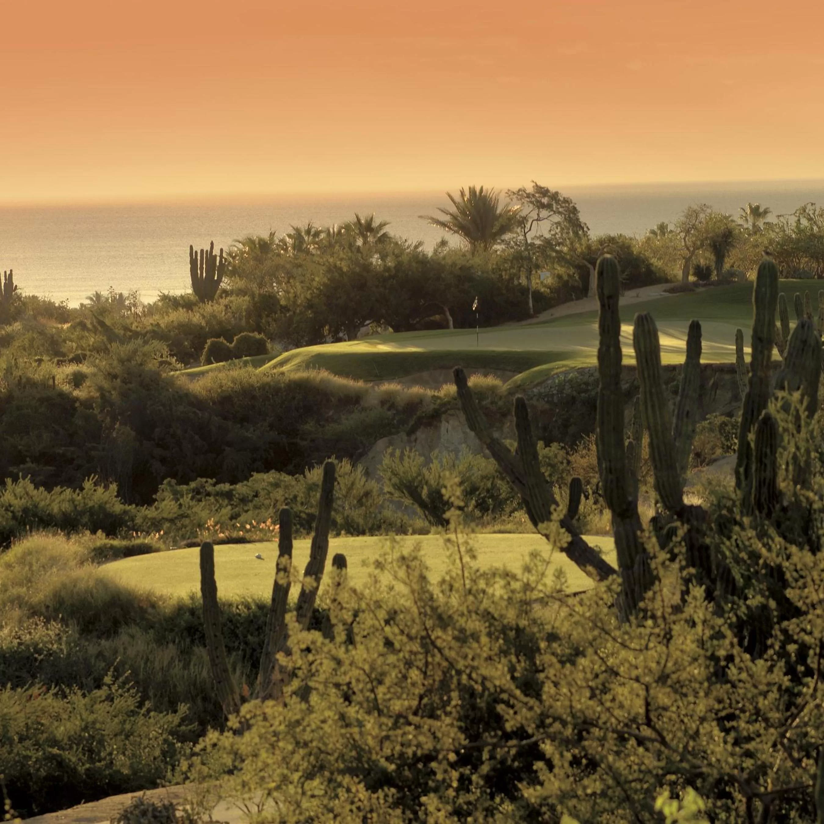 Natural landscape in One&Only Palmilla