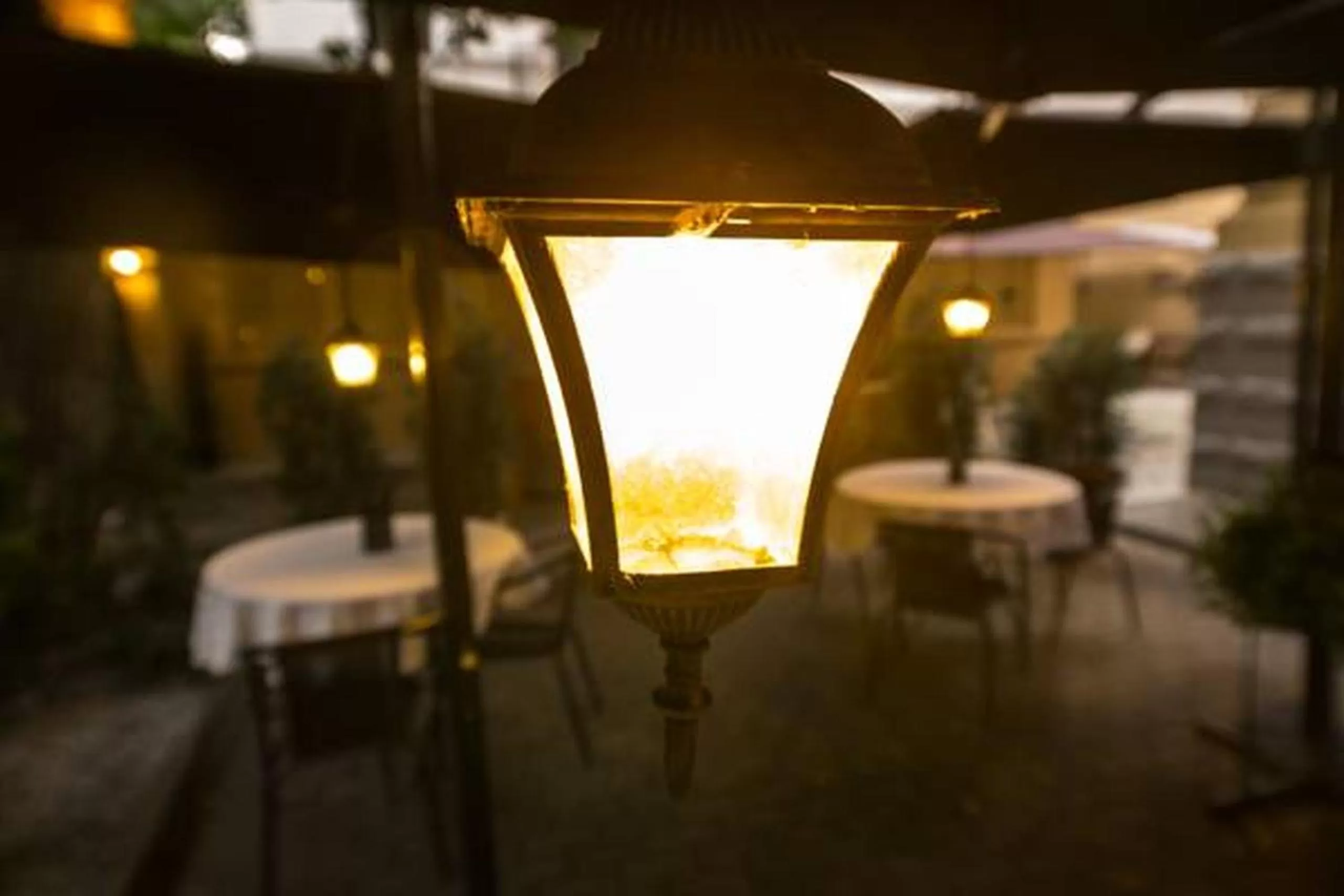 Garden in Grand Boutique Hotel