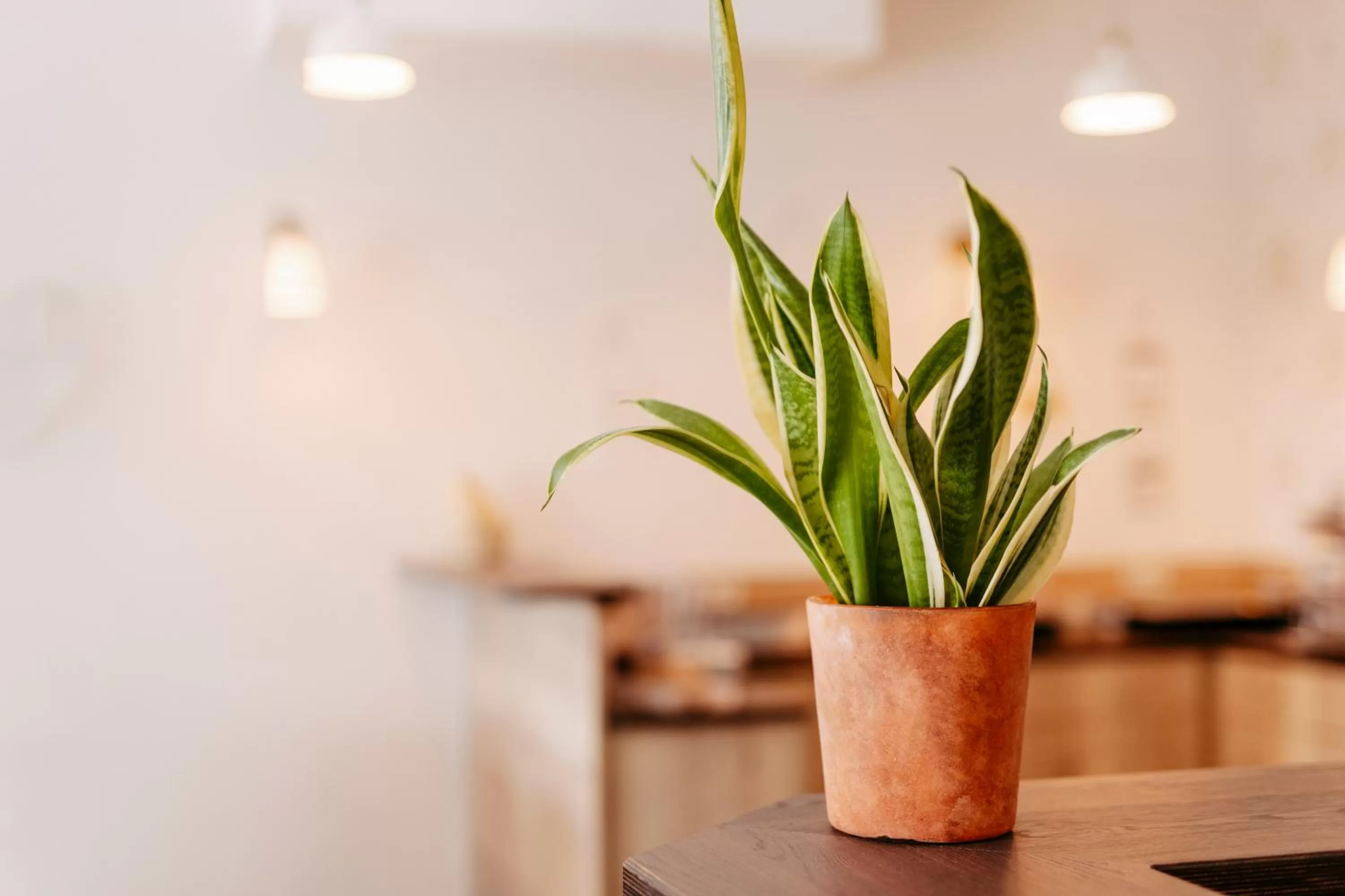 Lobby or reception in Hotel Nahetal
