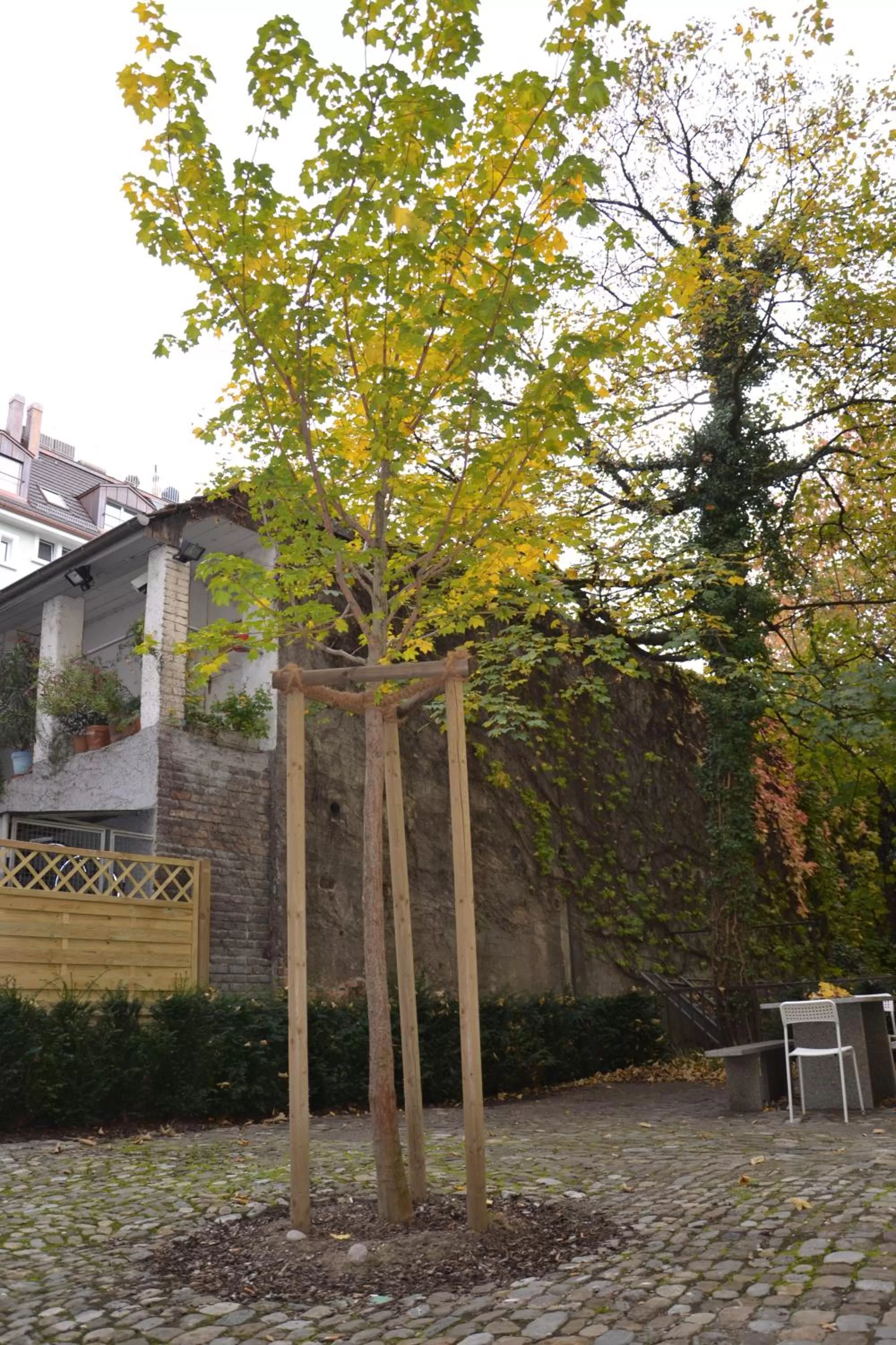 Garden in INSIDE Five