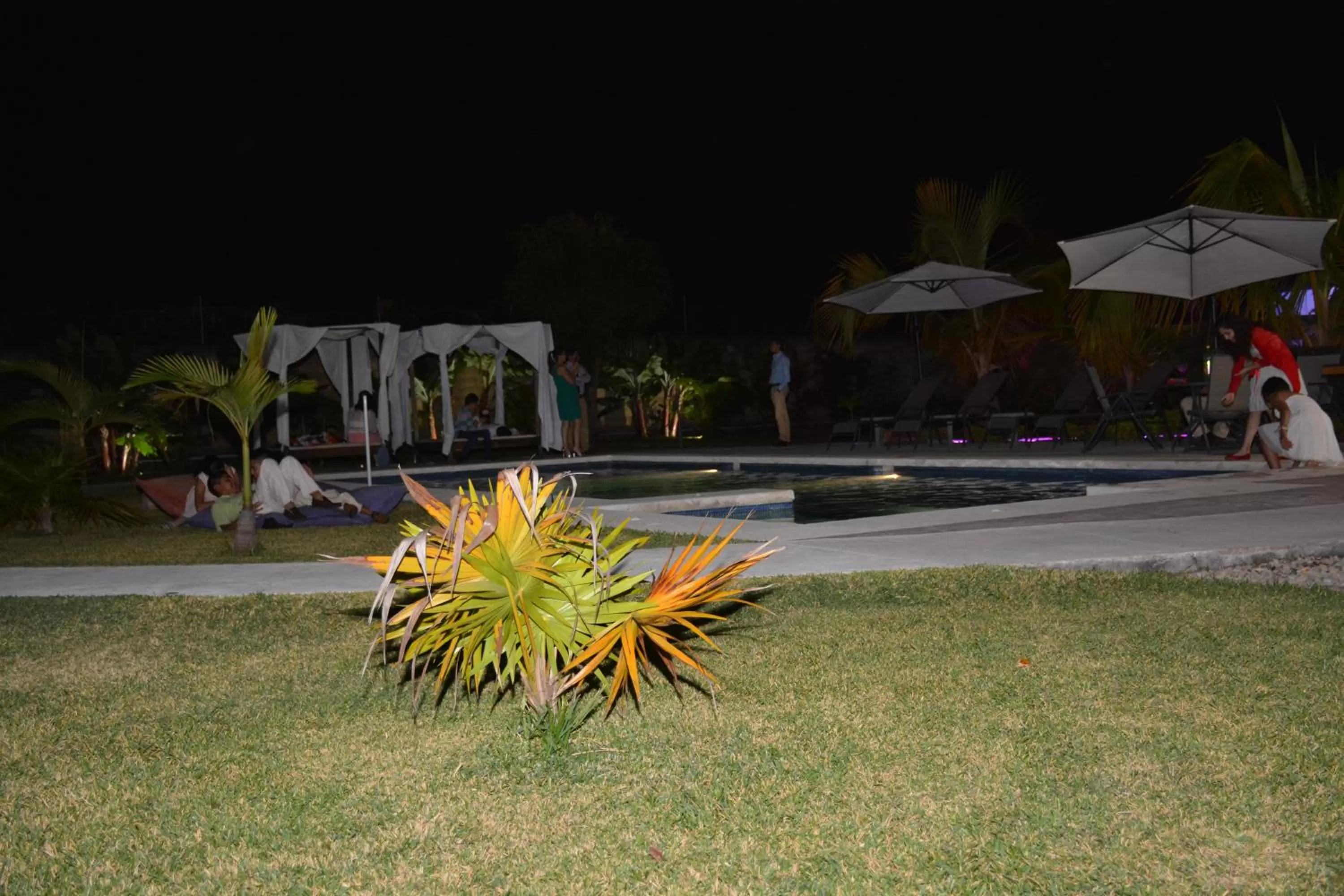 Garden view in Quinta Souffle