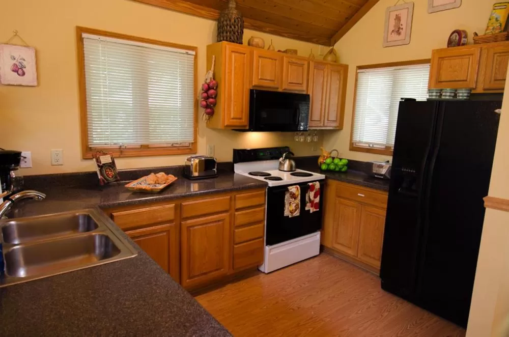 Kitchen or kitchenette in Asheville Cabins of Willow Winds