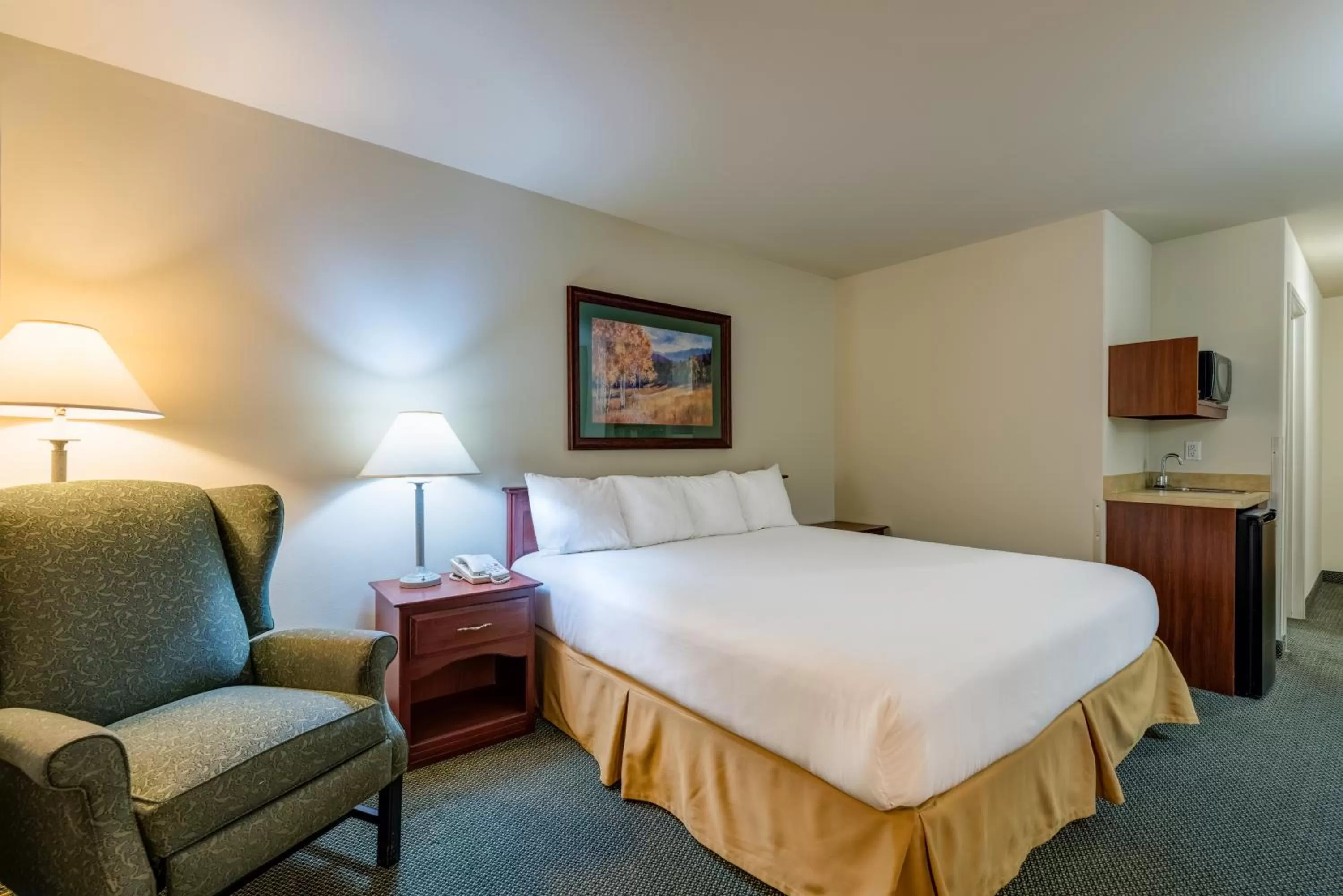 Kitchen or kitchenette, Bed in Grand River Hotel