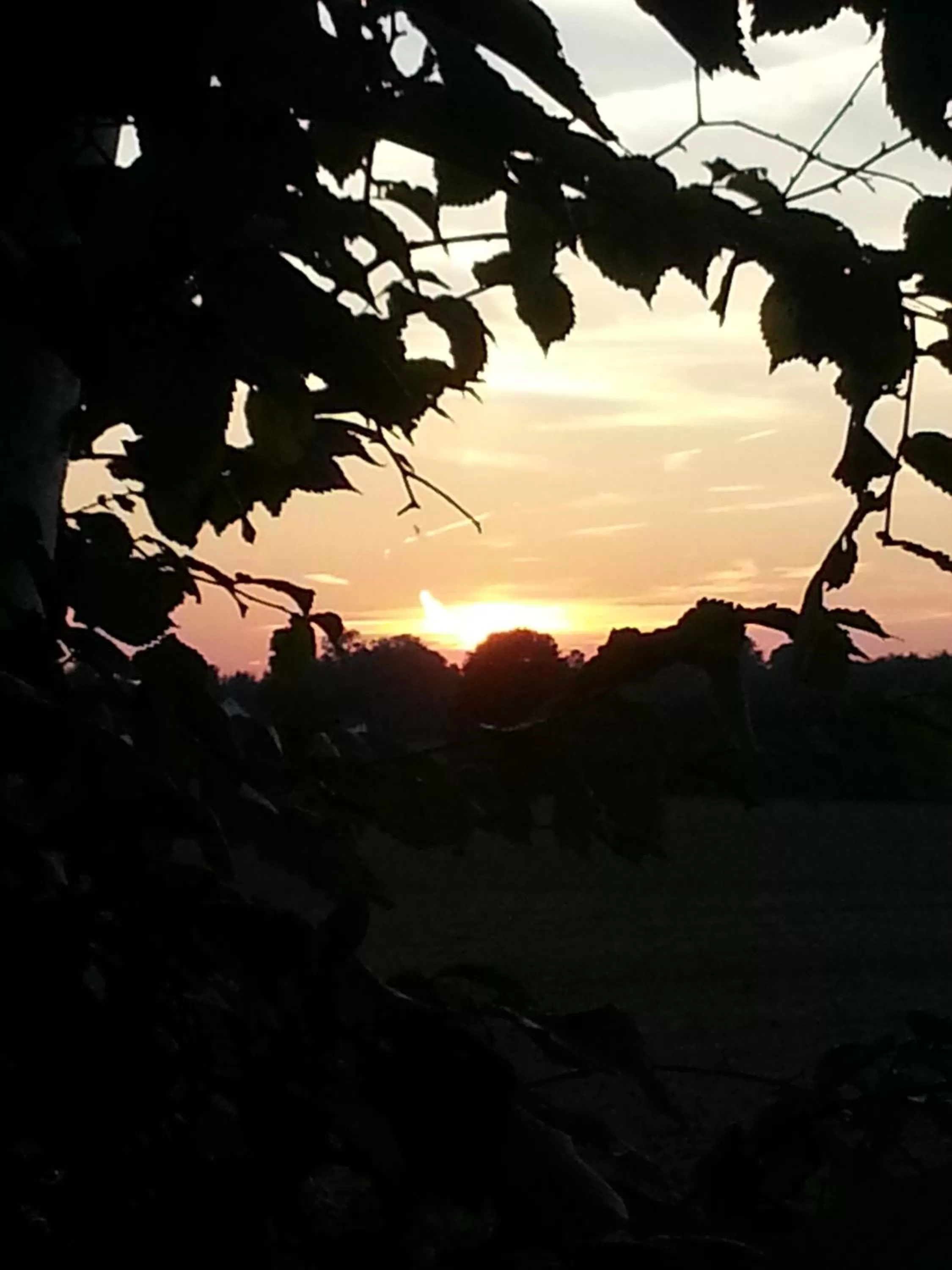 Sunset, Sunrise/Sunset in Roskilde B&B