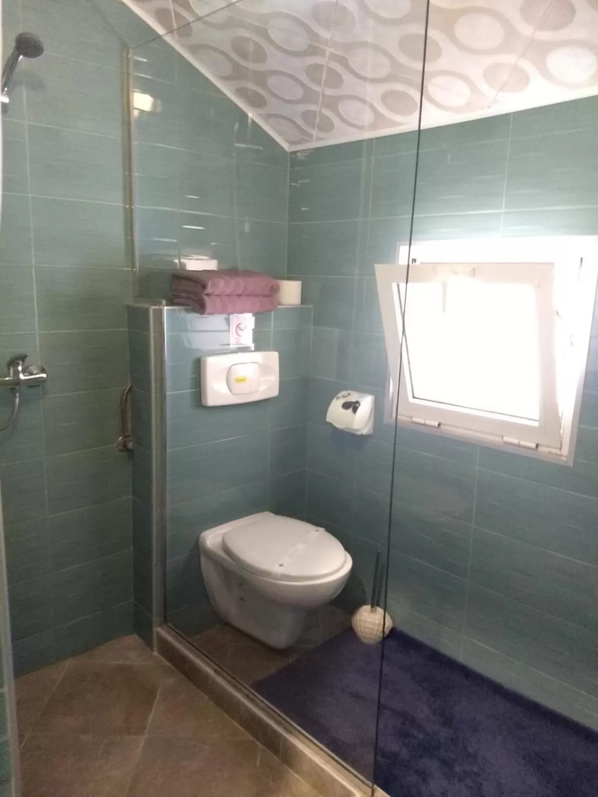 Shower, Bathroom in White Rose Family Guest House