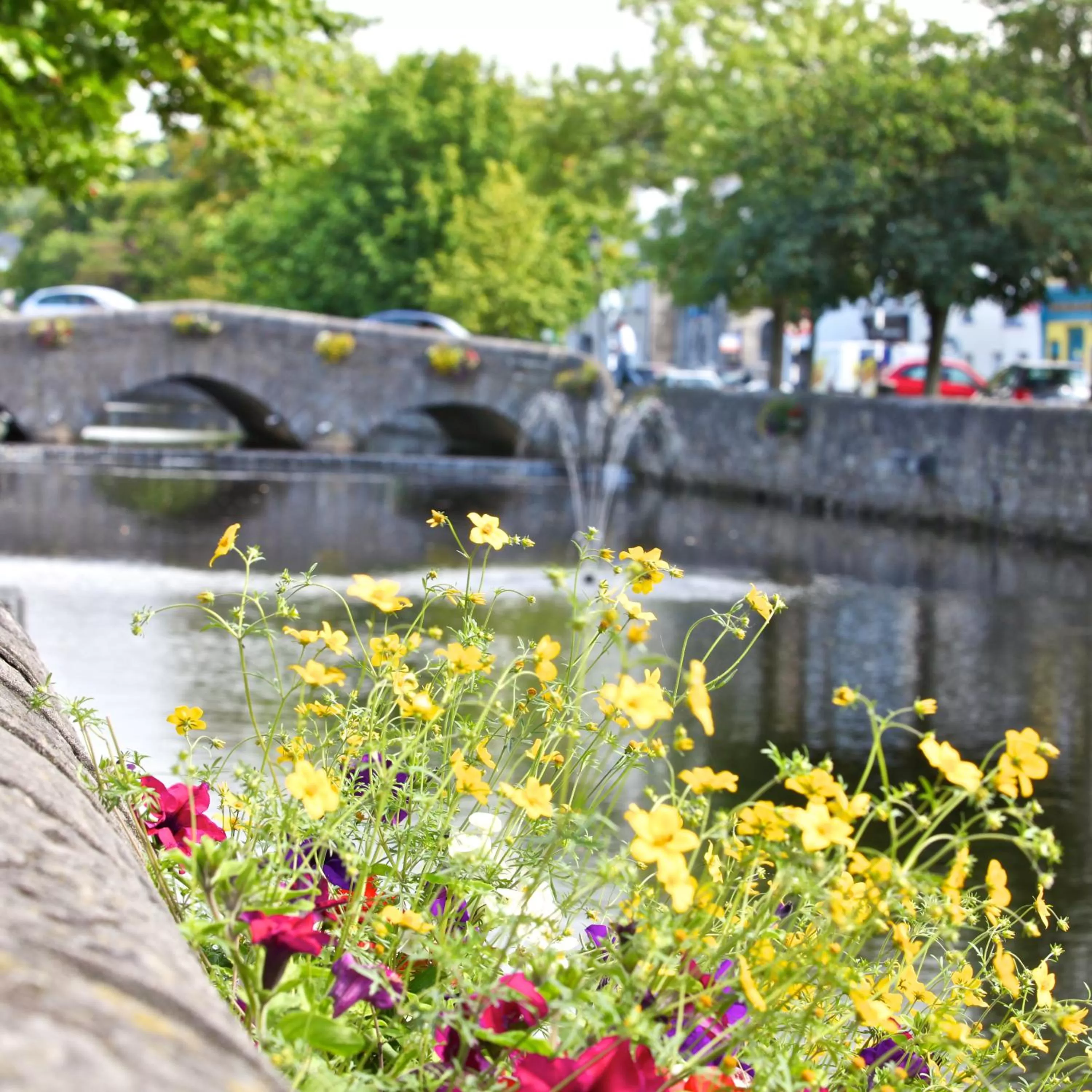 Area and facilities in Clew Bay Hotel