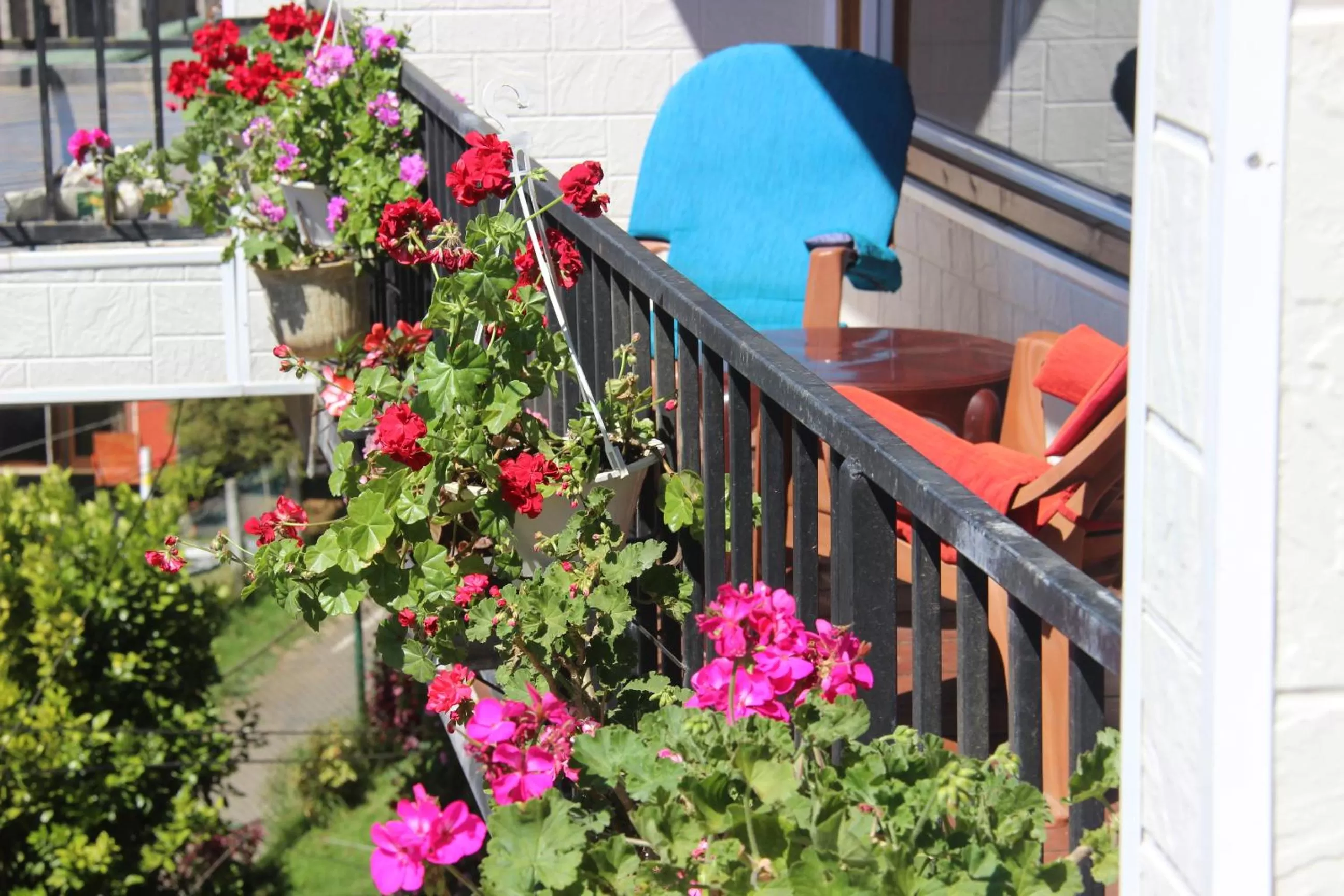 Balcony/Terrace in Pigeons Nest