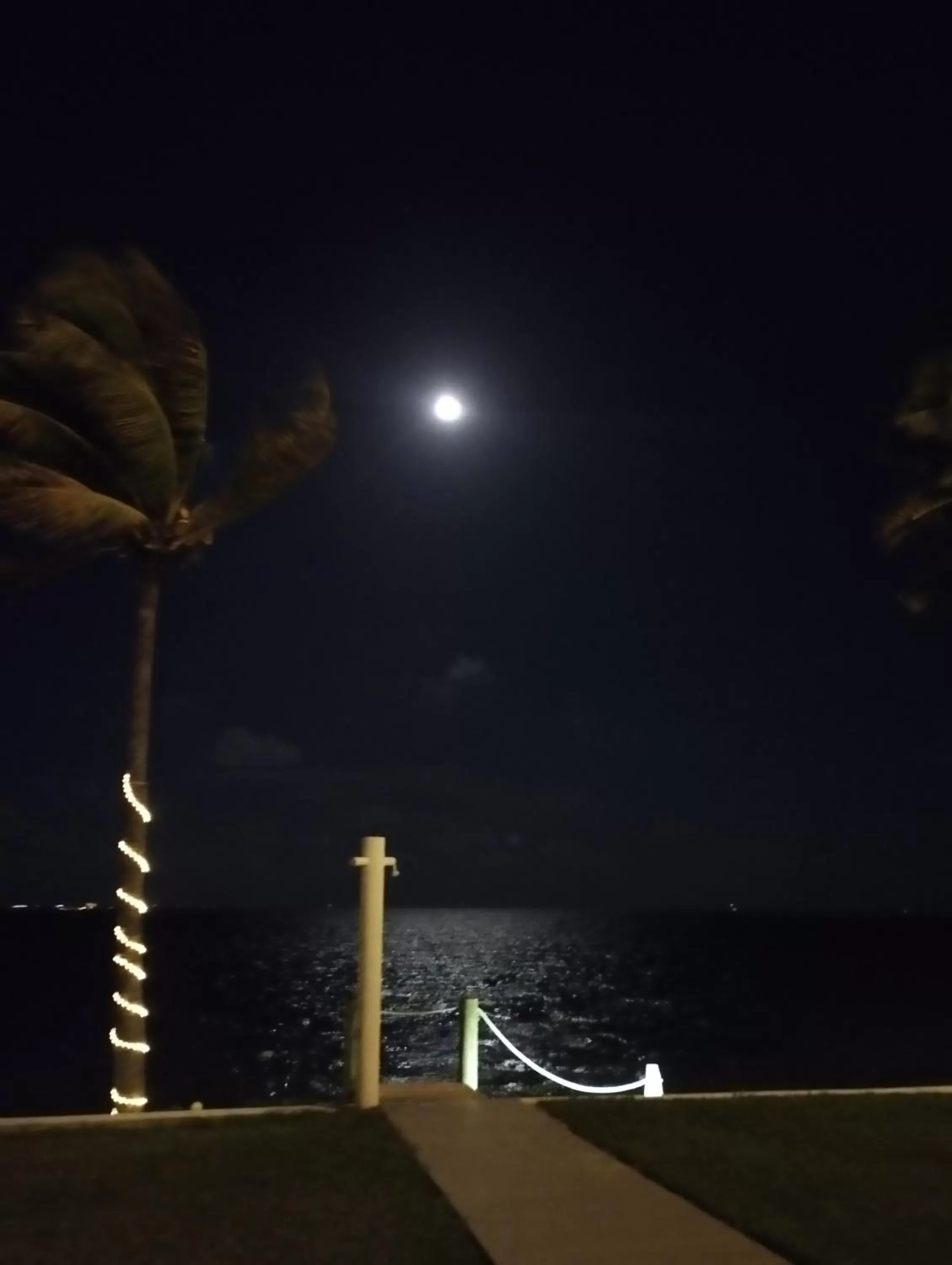 Night in Flamingo Ocean View