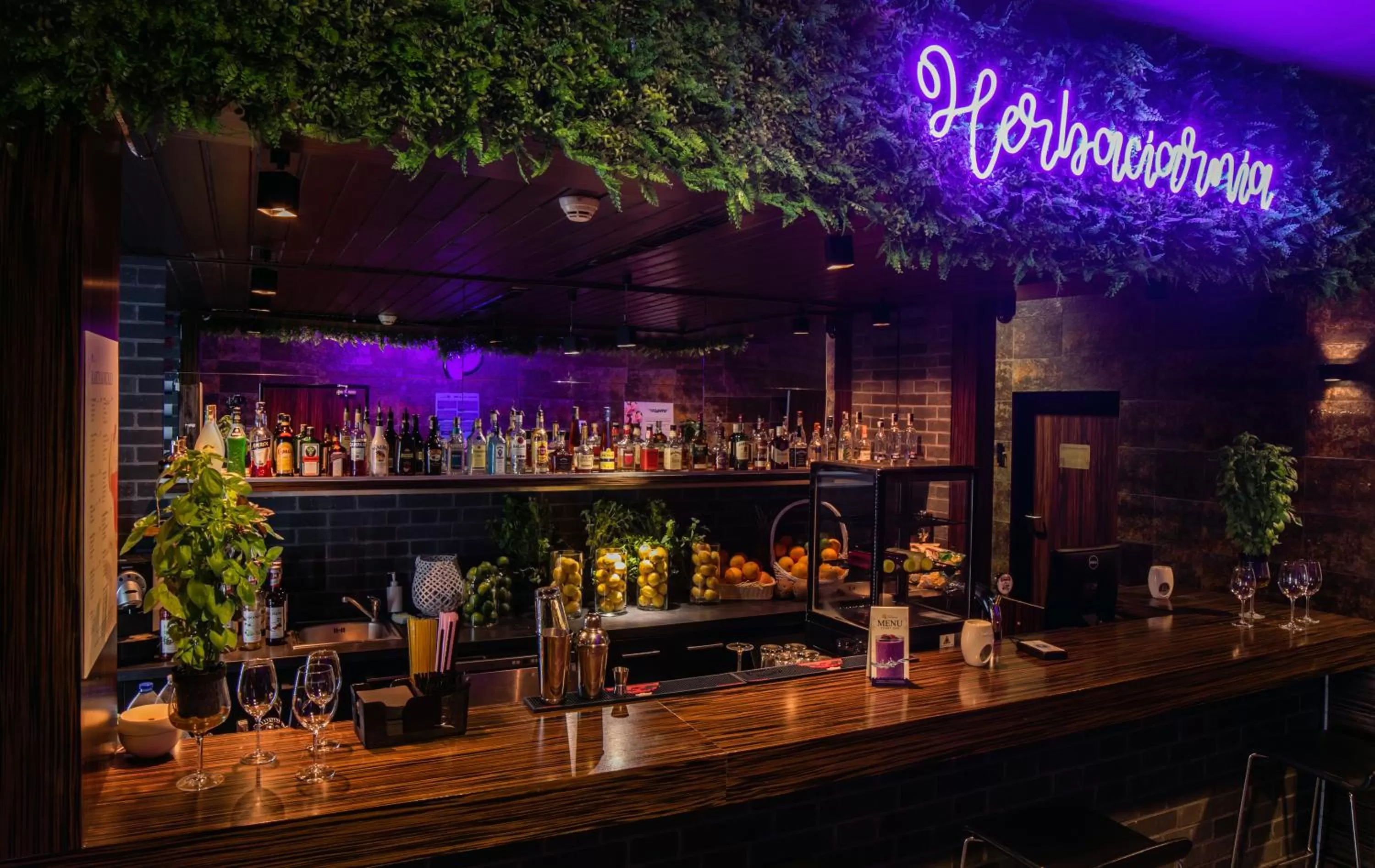 Lounge or bar in Termy Warmińskie