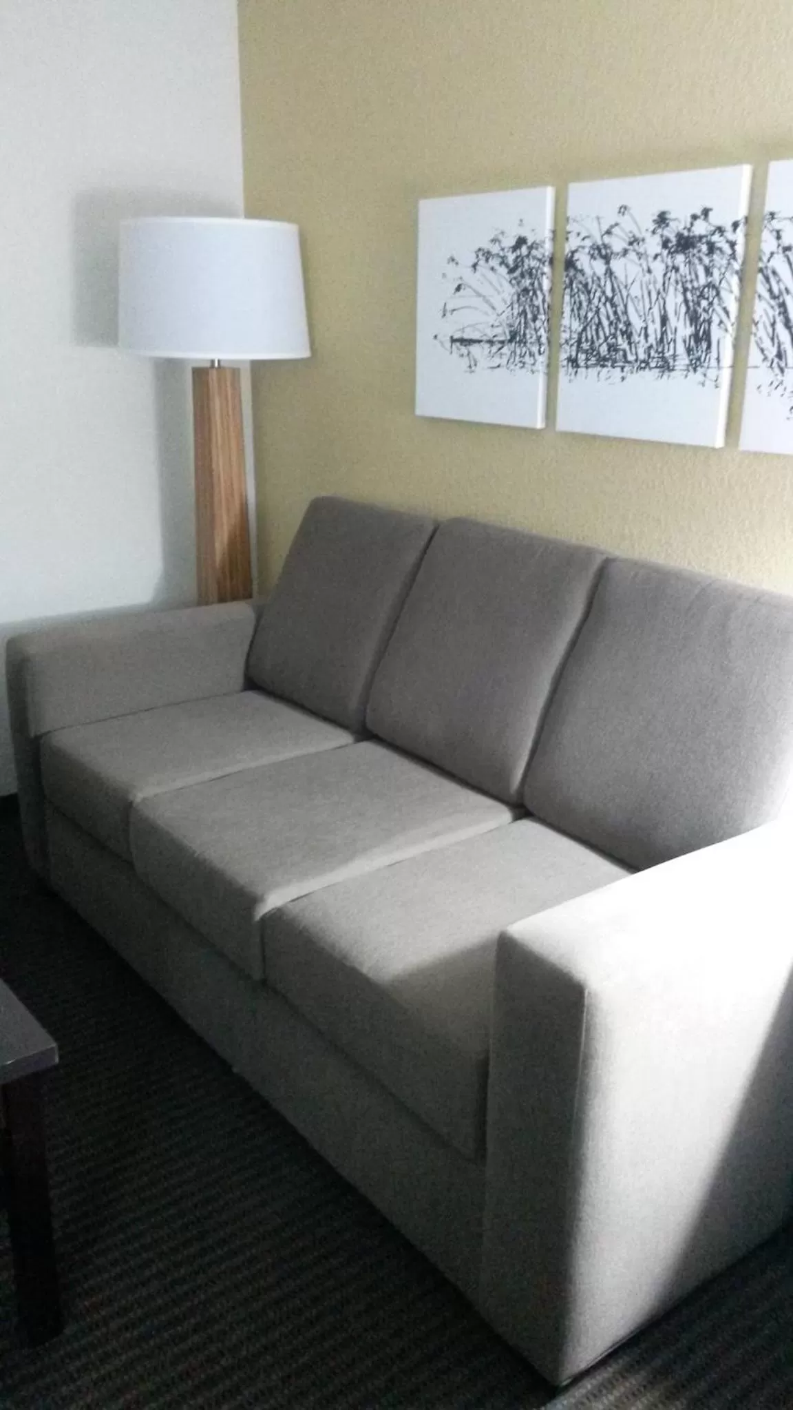 Seating area in Sleep Inn & Suites West-Near Medical Center