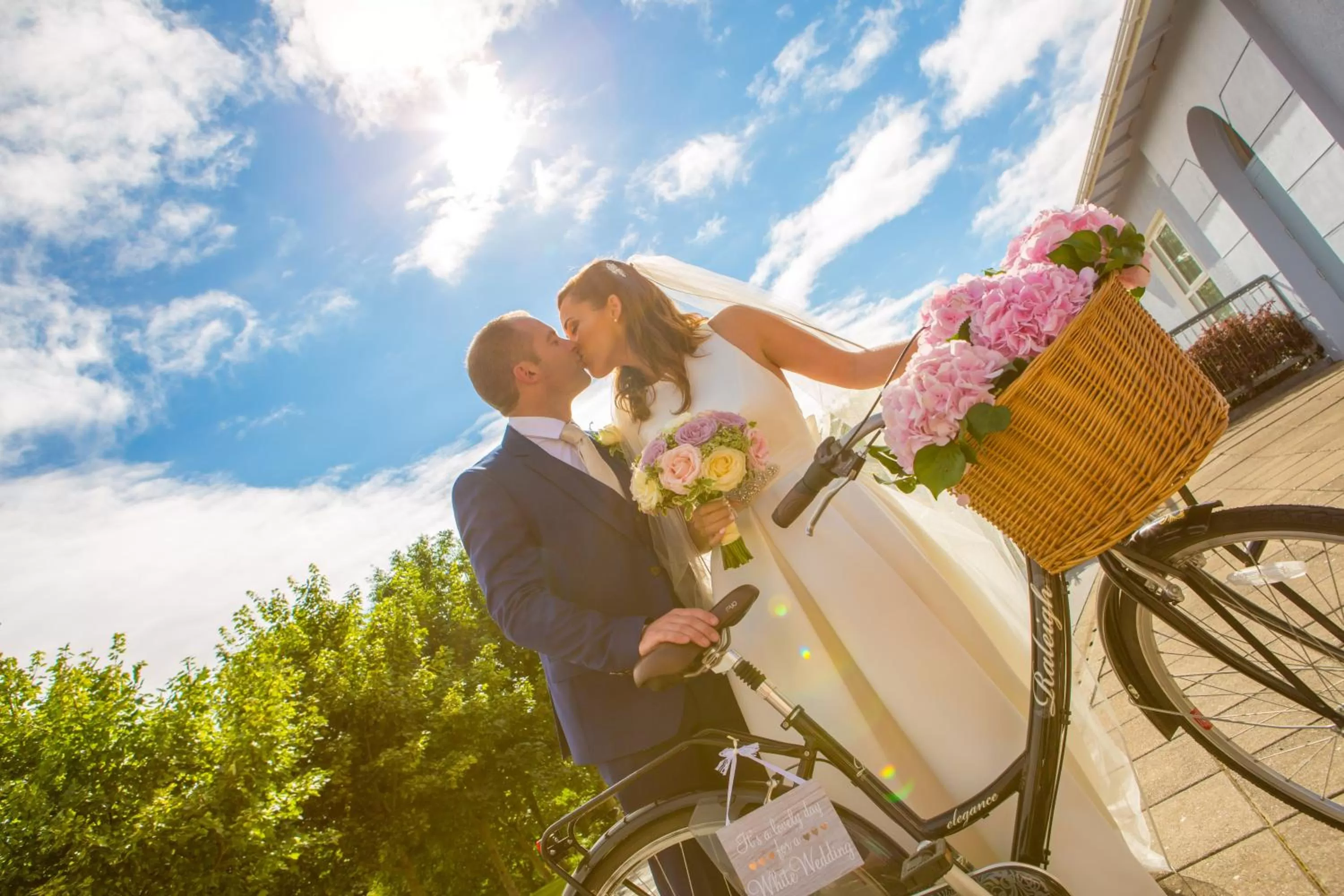 On site in Ballyroe Lodge