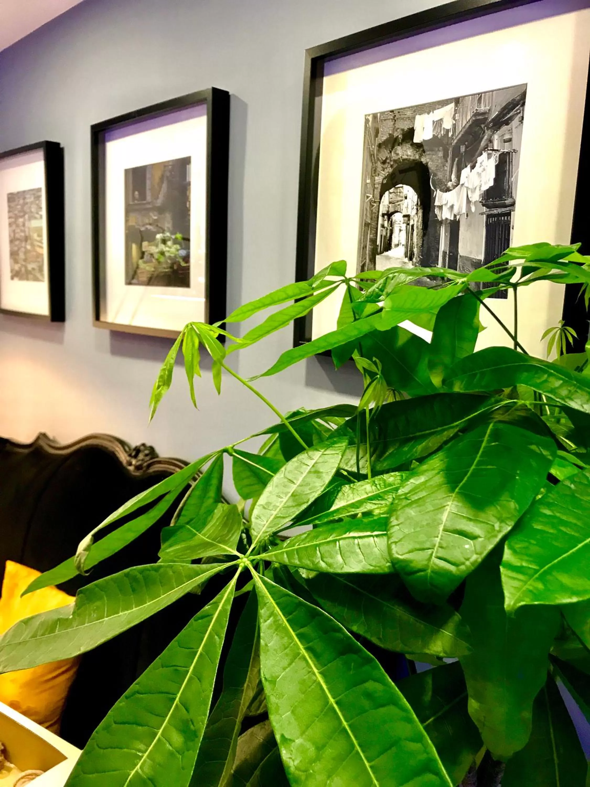 Decorative detail in Bourbon House